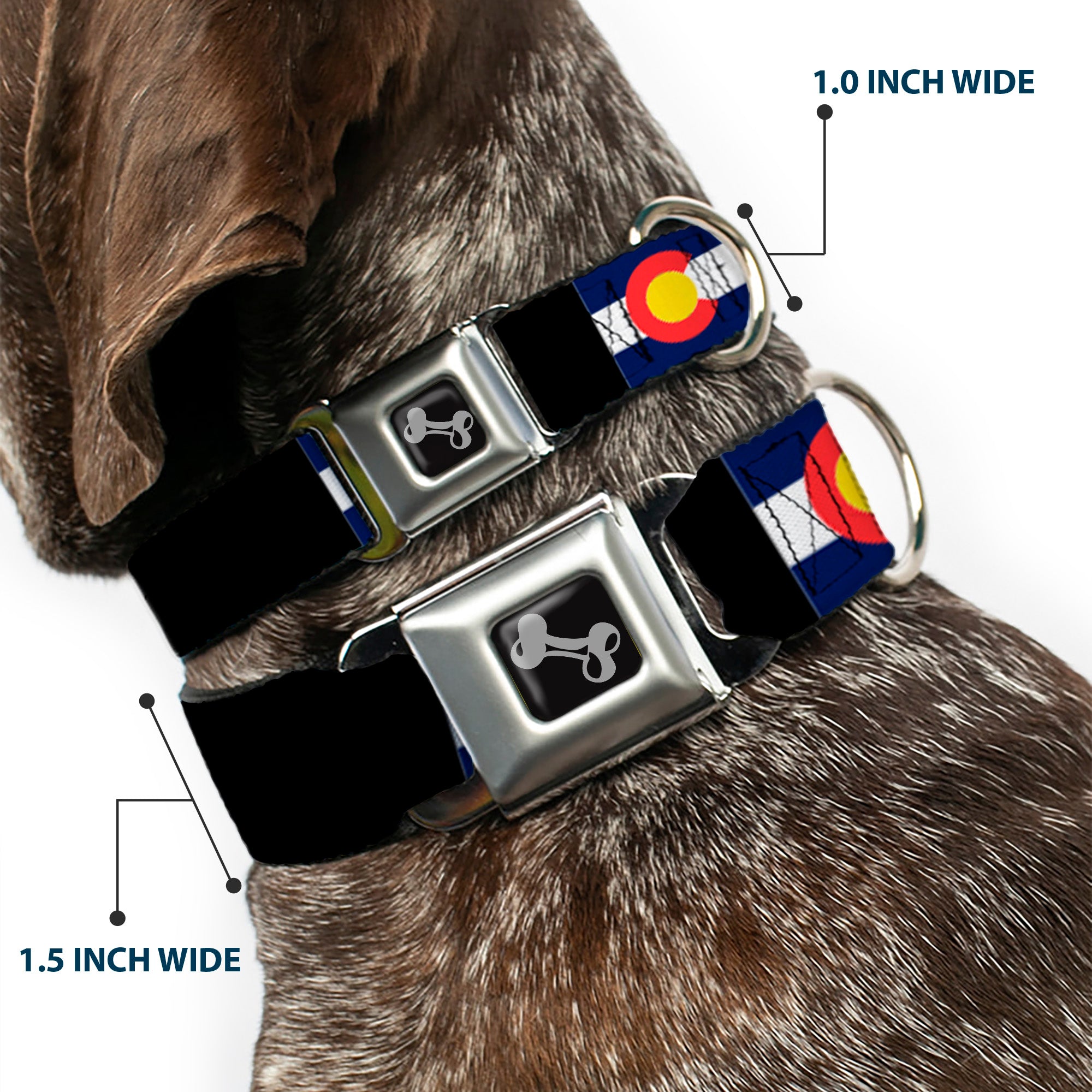 Dog Bone Seatbelt Buckle Collar - Colorado Flags3/Black Seatbelt Buckle Collars Buckle-Down