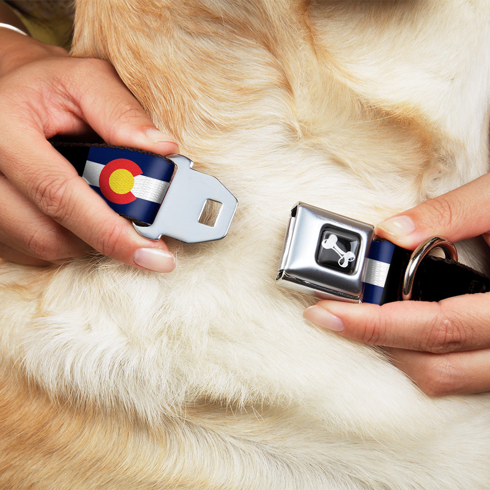 Dog Bone Seatbelt Buckle Collar - Colorado Flags3/Black Seatbelt Buckle Collars Buckle-Down