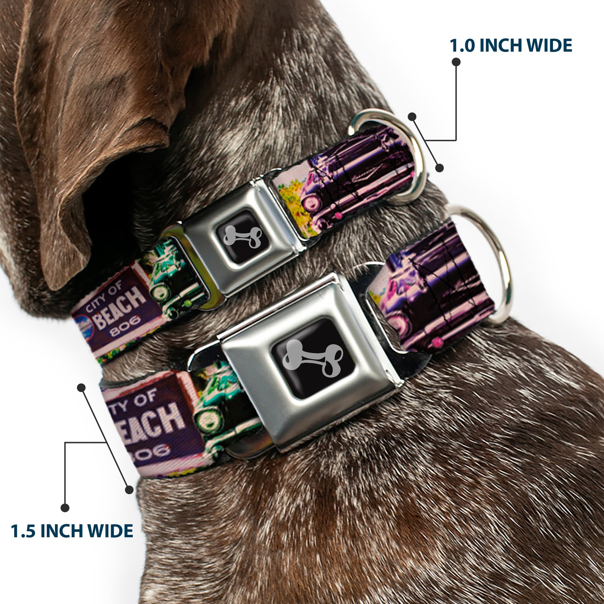 Dog Bone Seatbelt Buckle Collar - Cali Classic Laguna Beach Seatbelt Buckle Collars Buckle-Down