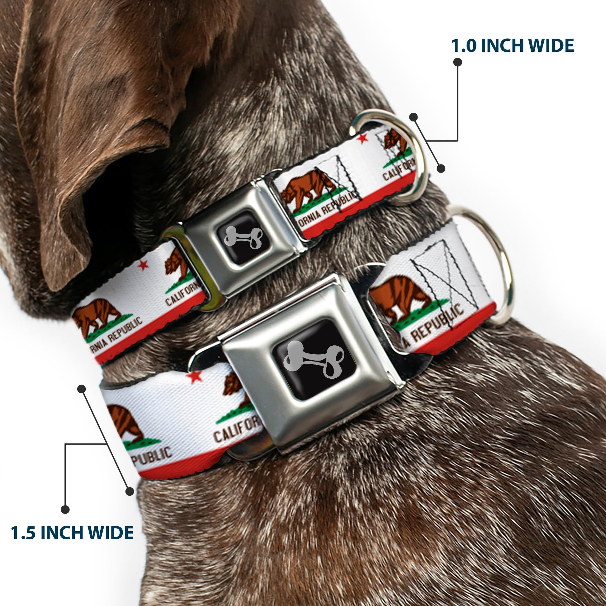 Dog Bone Seatbelt Buckle Collar - California State Flag White Seatbelt Buckle Collars Buckle-Down