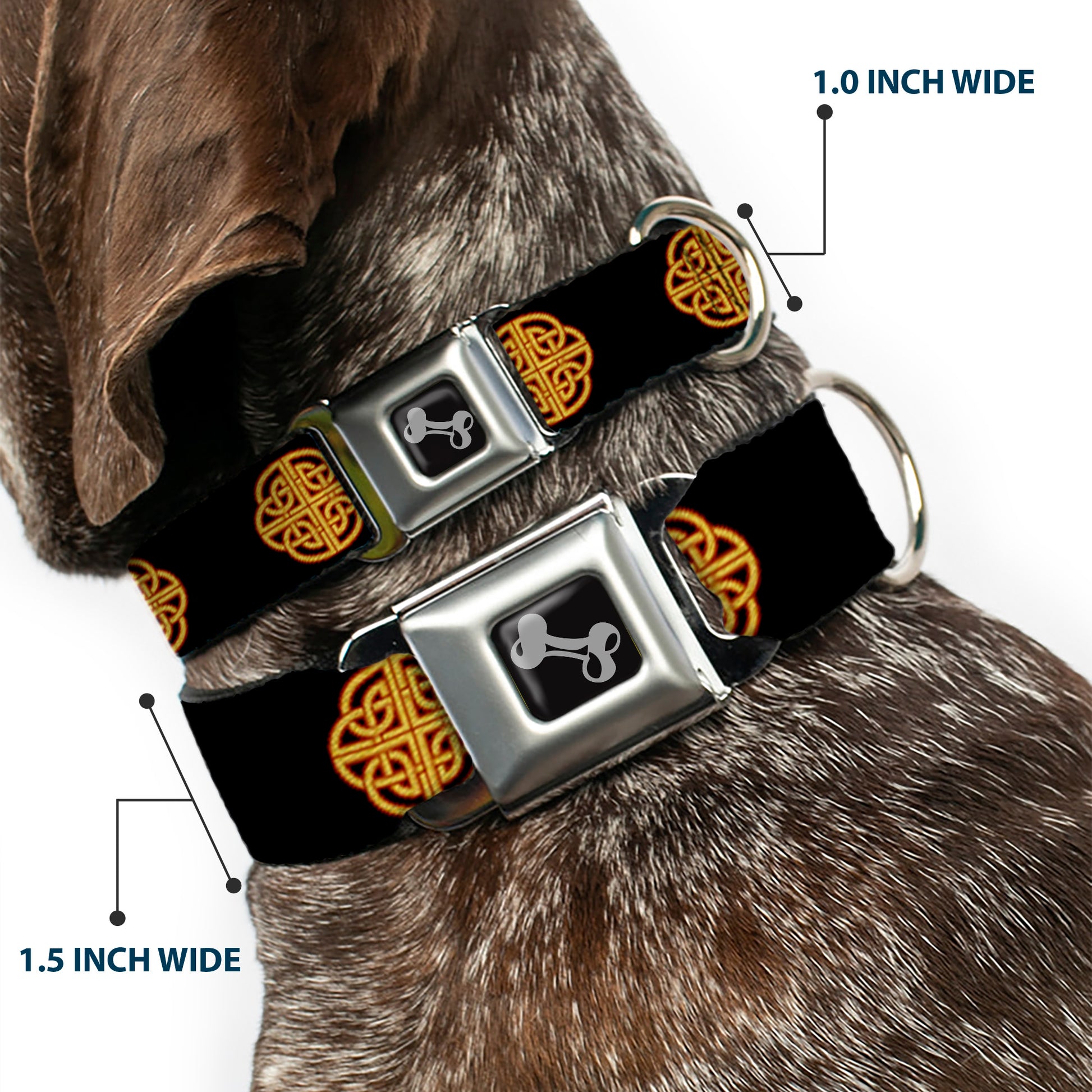 Dog Bone Seatbelt Buckle Collar - Celtic Knot Black/Burgundy/Gold Seatbelt Buckle Collars Buckle-Down