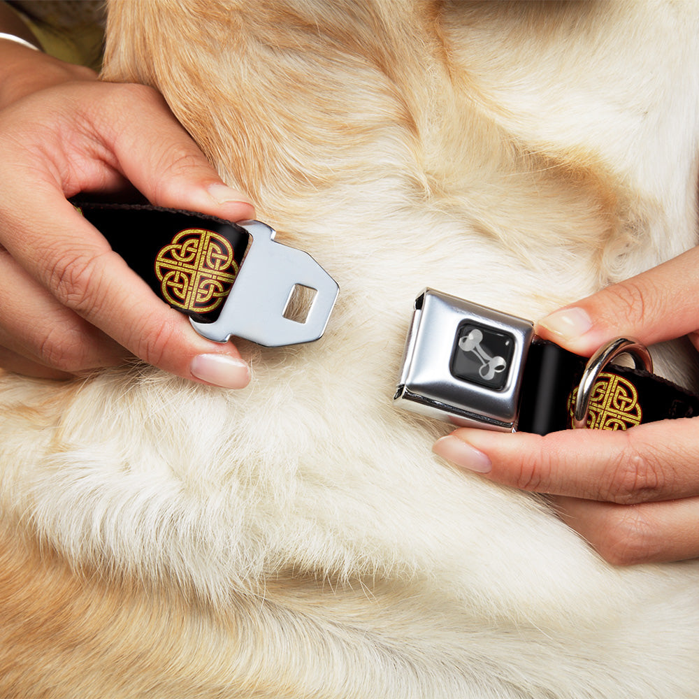 Dog Bone Seatbelt Buckle Collar - Celtic Knot Black/Burgundy/Gold Seatbelt Buckle Collars Buckle-Down