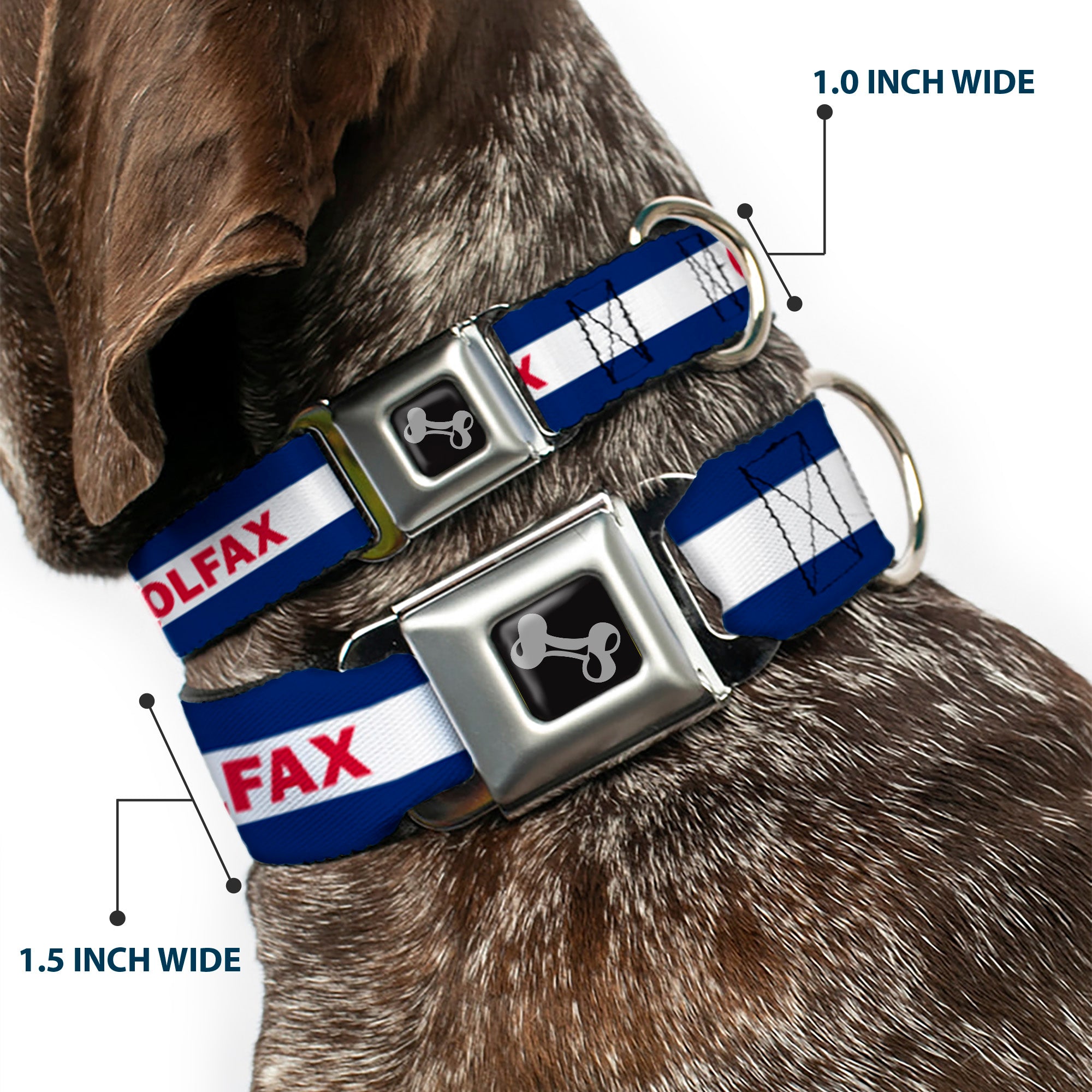 Dog Bone Seatbelt Buckle Collar - Colfax Colorado Flag Seatbelt Buckle Collars Buckle-Down