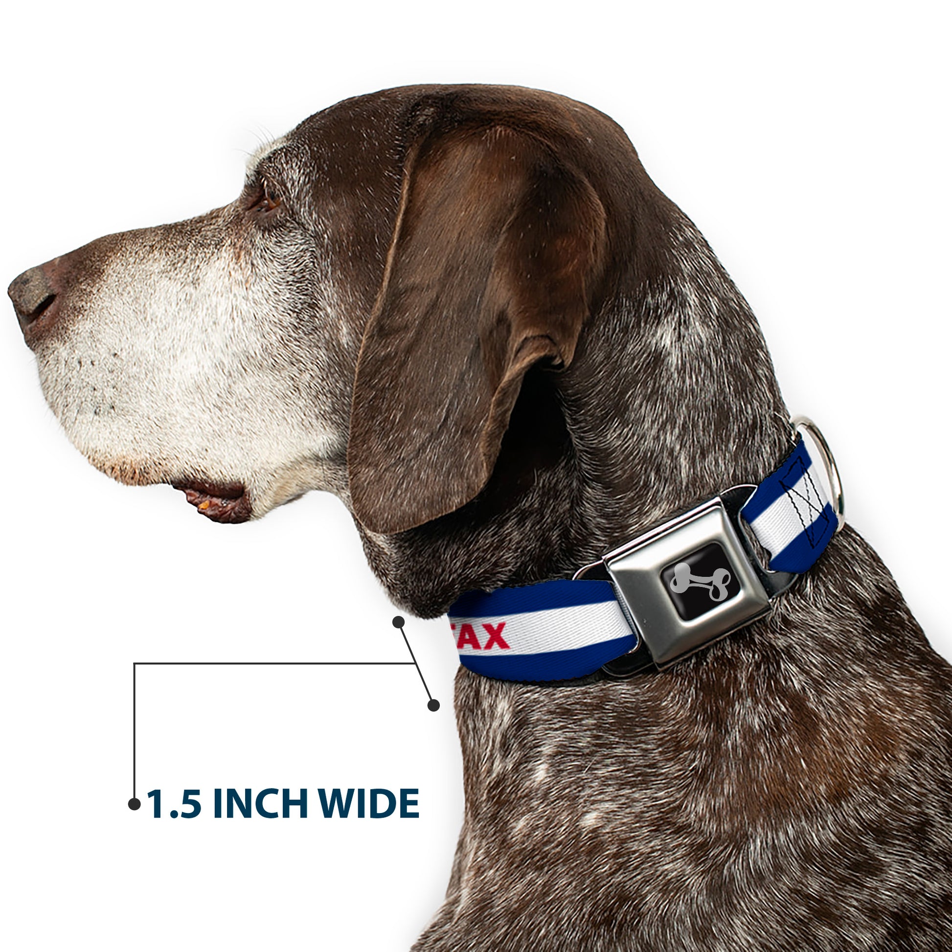 Dog Bone Seatbelt Buckle Collar - Colfax Colorado Flag Seatbelt Buckle Collars Buckle-Down