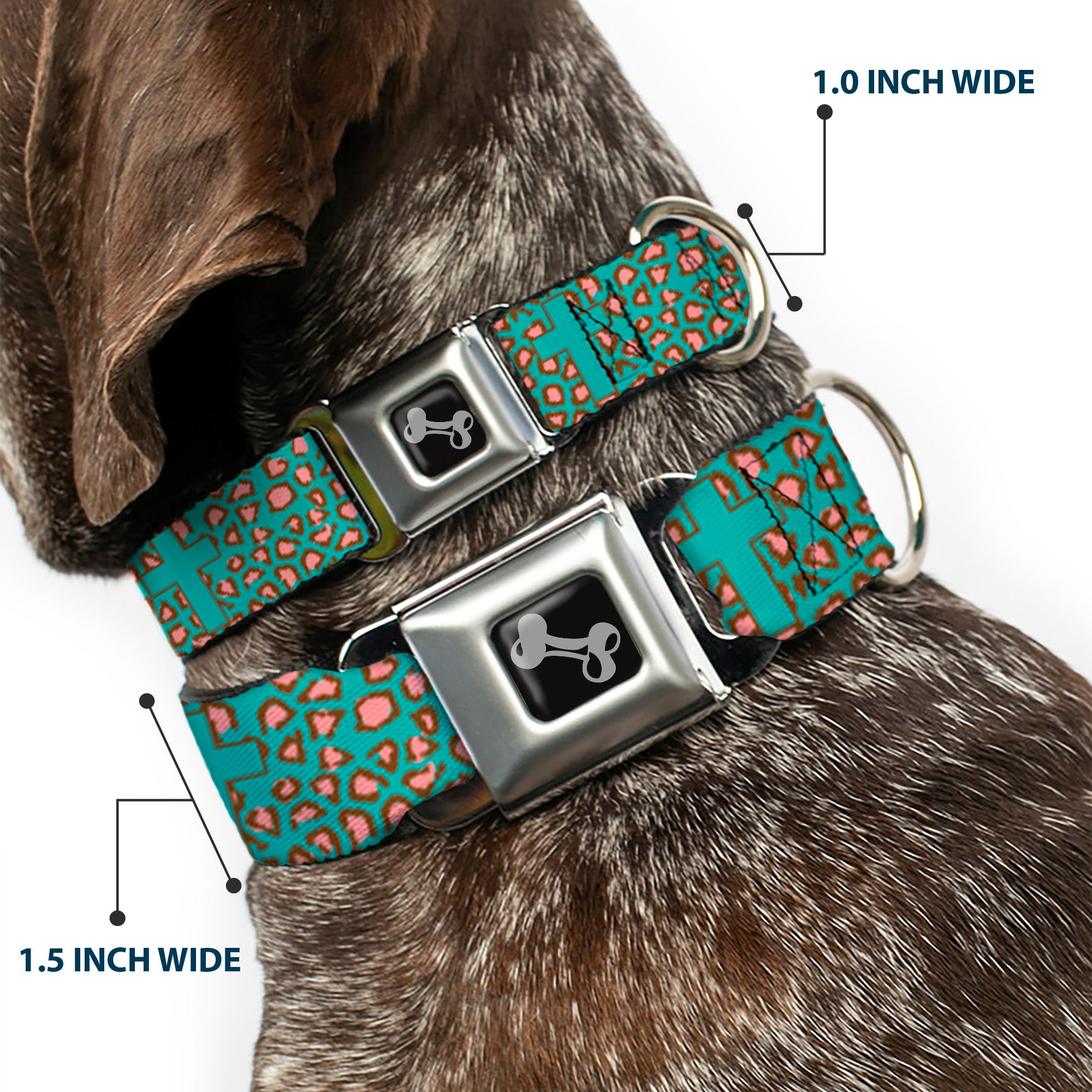 Dog Bone Seatbelt Buckle Collar - Cross Repeat Leopard Turquoise/Pink Seatbelt Buckle Collars Buckle-Down
