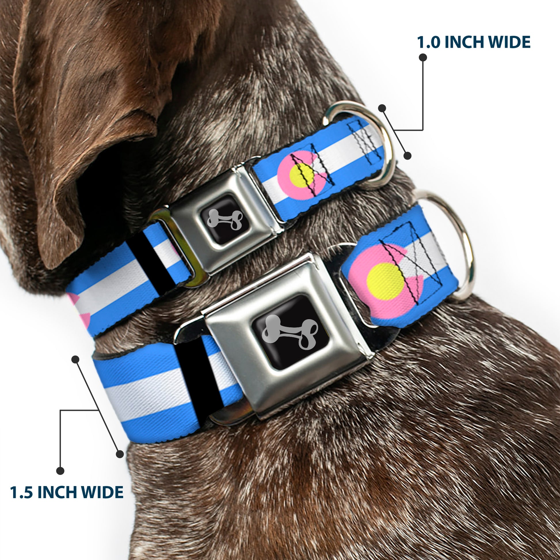 Dog Bone Seatbelt Buckle Collar - Colorado Flags Pastel Seatbelt Buckle Collars Buckle-Down