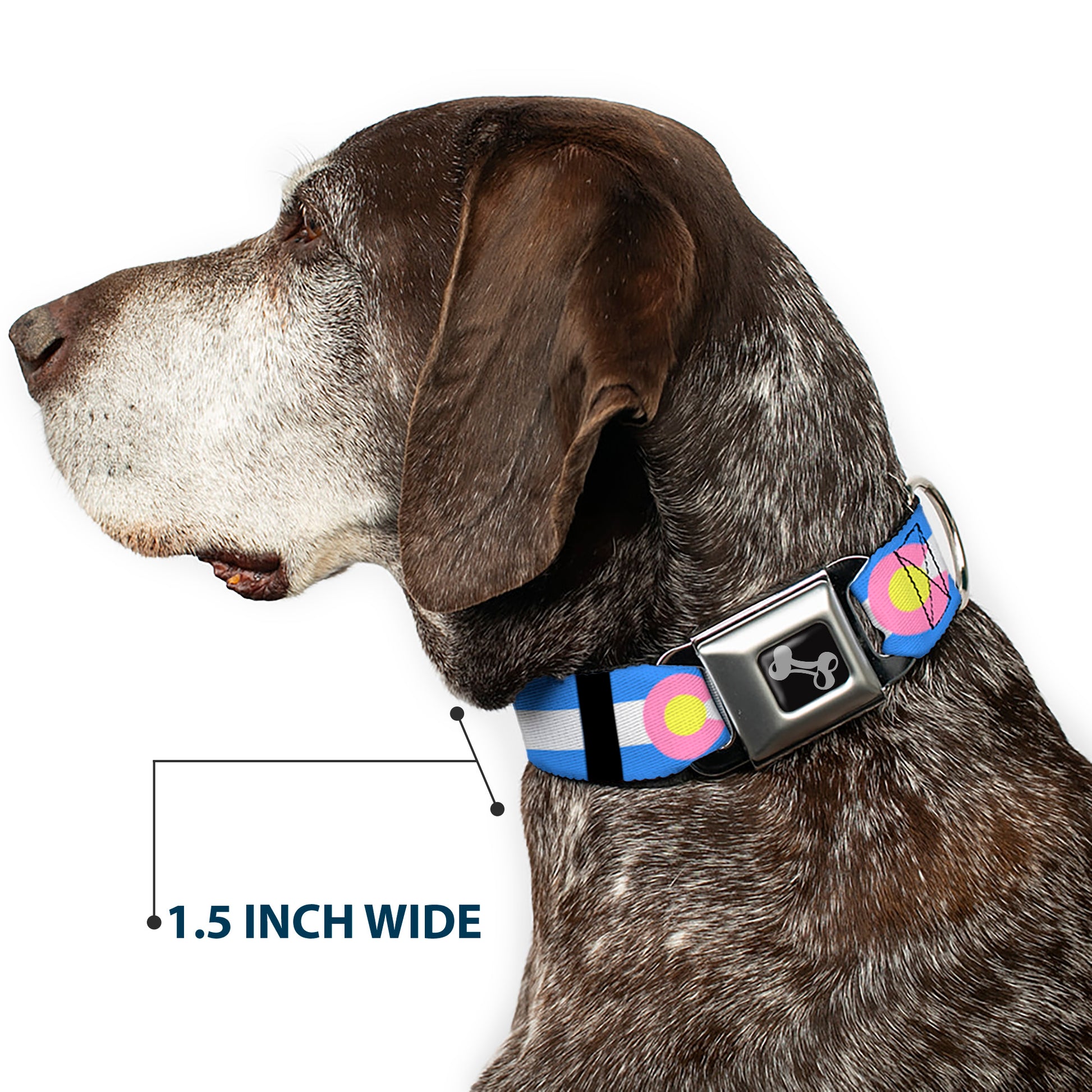 Dog Bone Seatbelt Buckle Collar - Colorado Flags Pastel Seatbelt Buckle Collars Buckle-Down