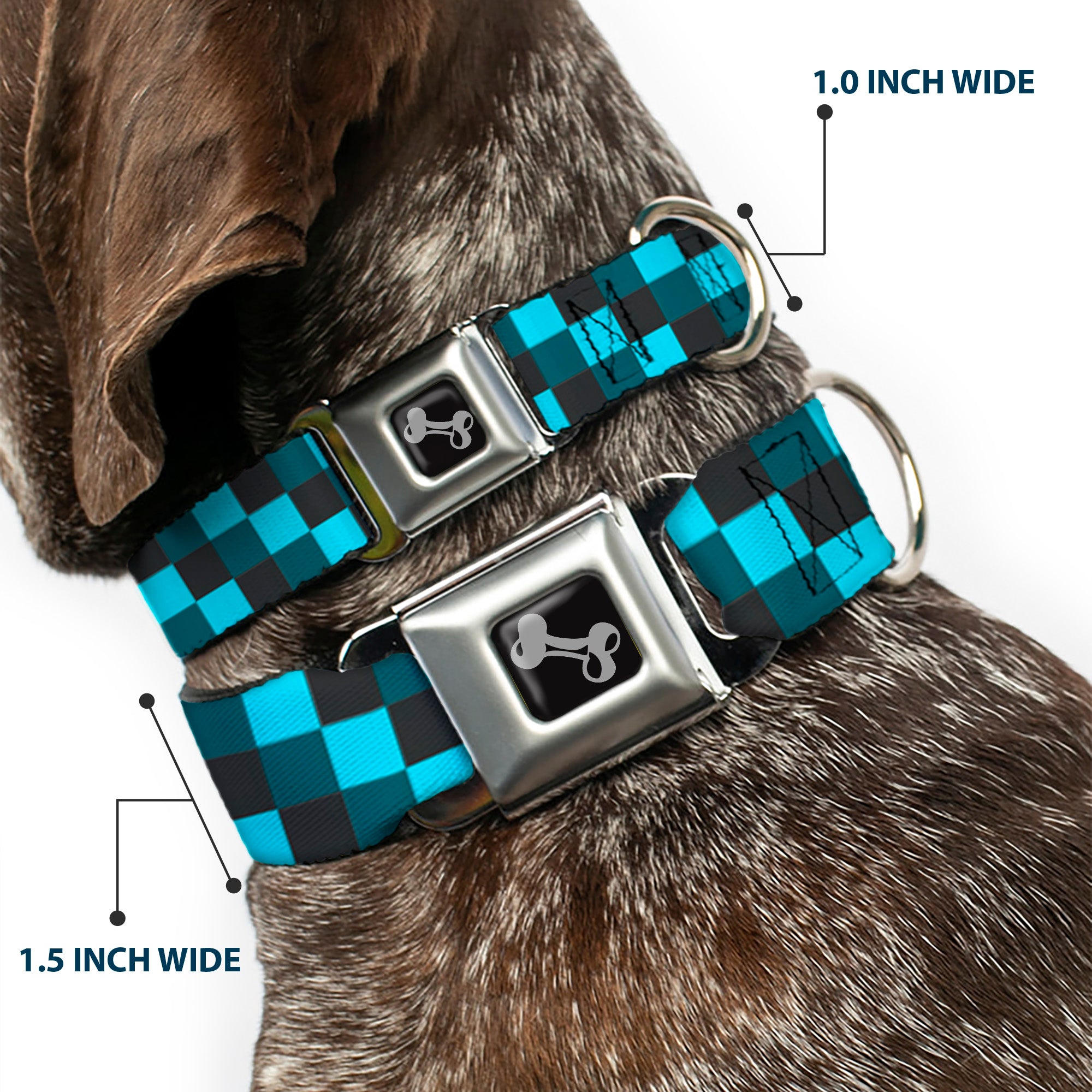 Dog Bone Seatbelt Buckle Collar - Checker Trio Baby Blue/Black/Turquoise Seatbelt Buckle Collars Buckle-Down