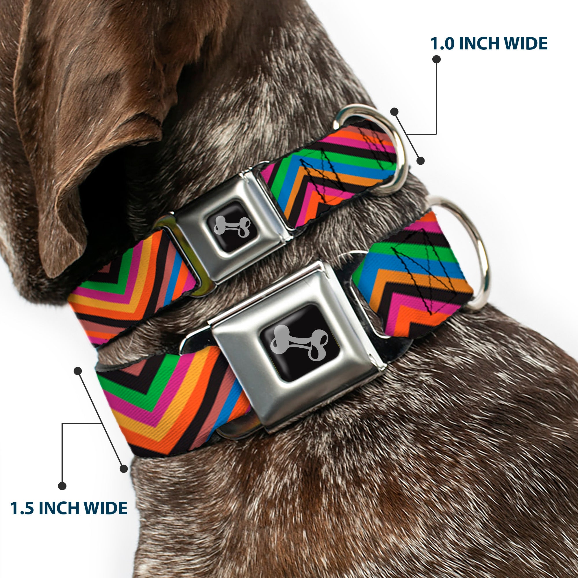 Dog Bone Seatbelt Buckle Collar - Diamond Freehand Multi Color Seatbelt Buckle Collars Buckle-Down