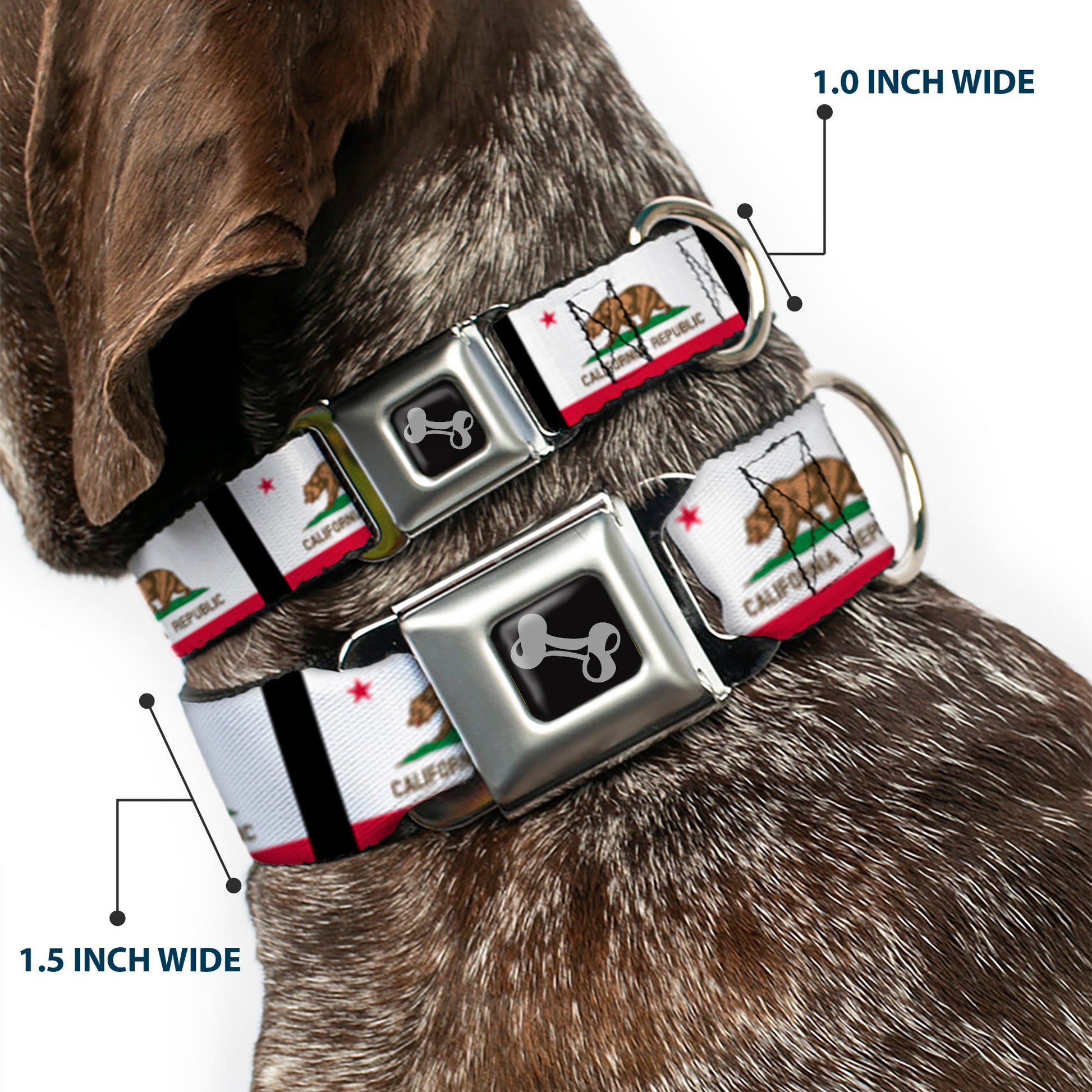 Dog Bone Seatbelt Buckle Collar - California Flag Repeat/Black Seatbelt Buckle Collars Buckle-Down