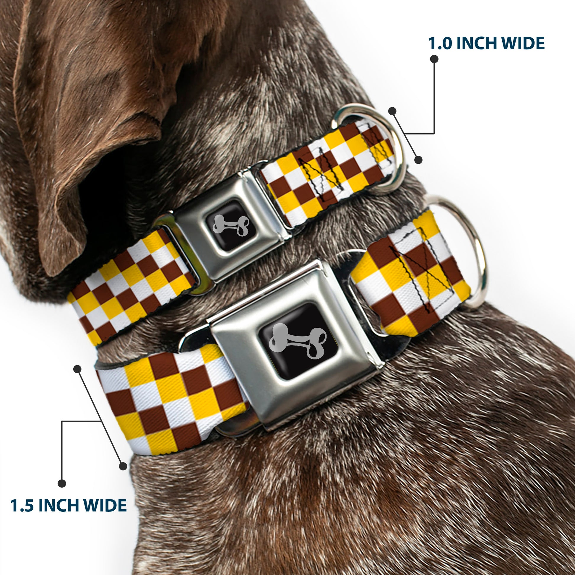 Dog Bone Seatbelt Buckle Collar - Checker White/Gold/Brown Seatbelt Buckle Collars Buckle-Down