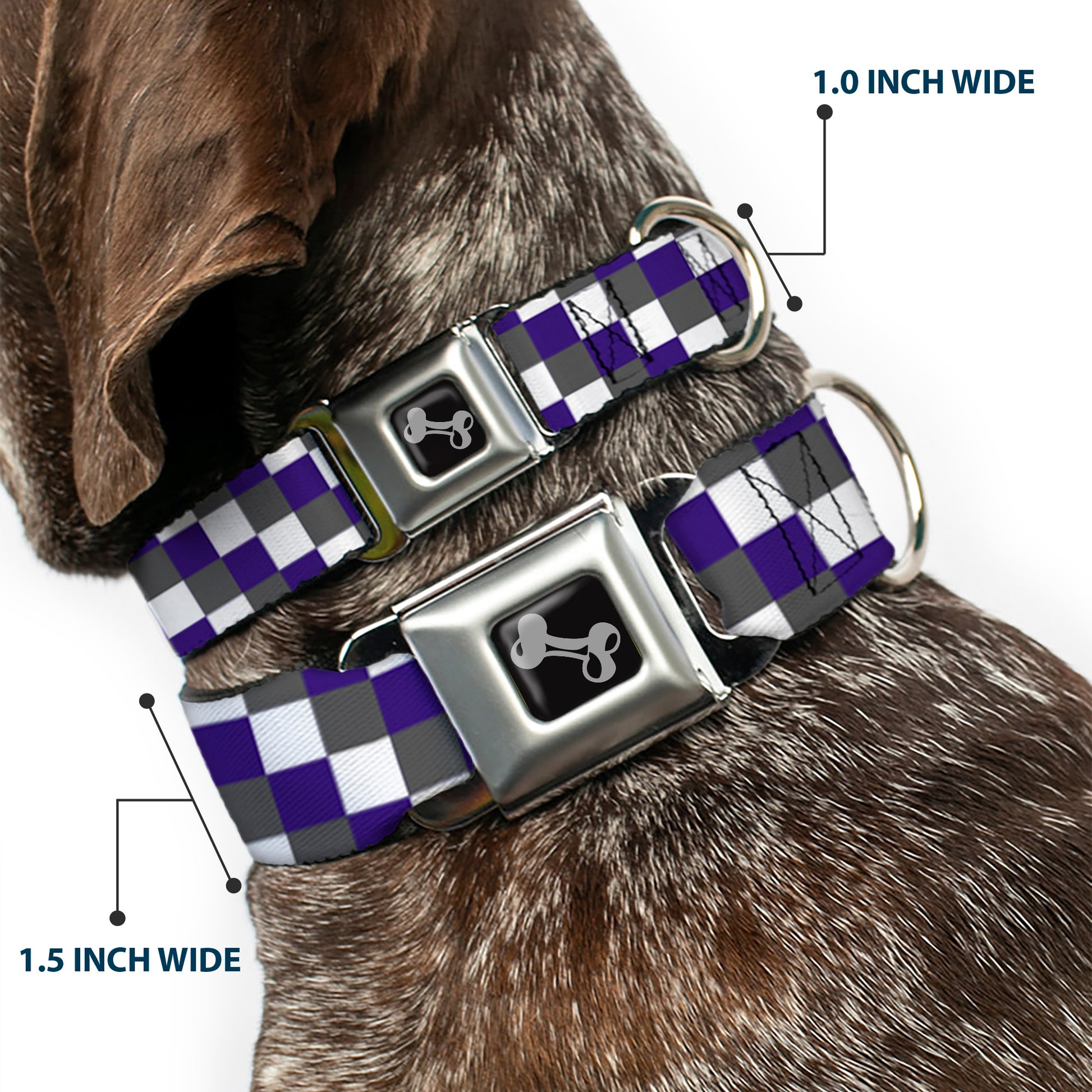 Dog Bone Seatbelt Buckle Collar - Checker Gray/Purple/White Seatbelt Buckle Collars Buckle-Down