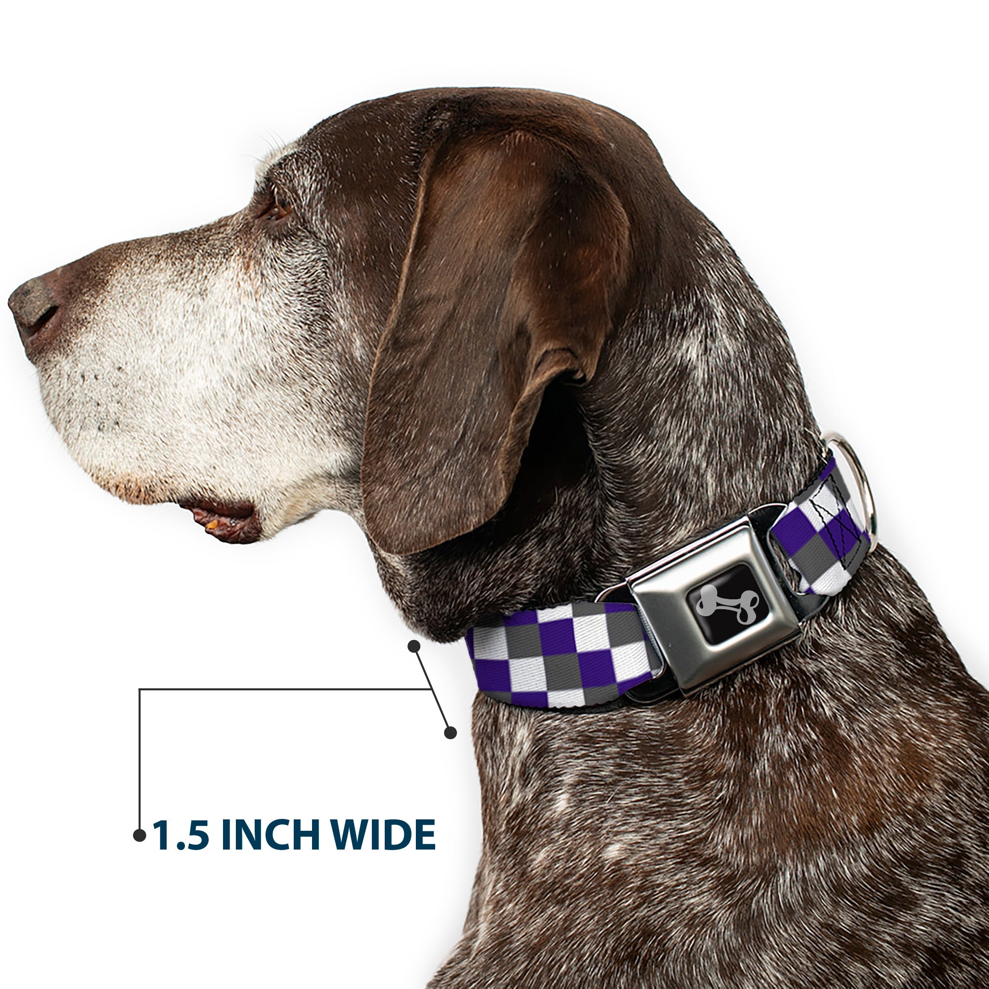 Dog Bone Seatbelt Buckle Collar - Checker Gray/Purple/White Seatbelt Buckle Collars Buckle-Down