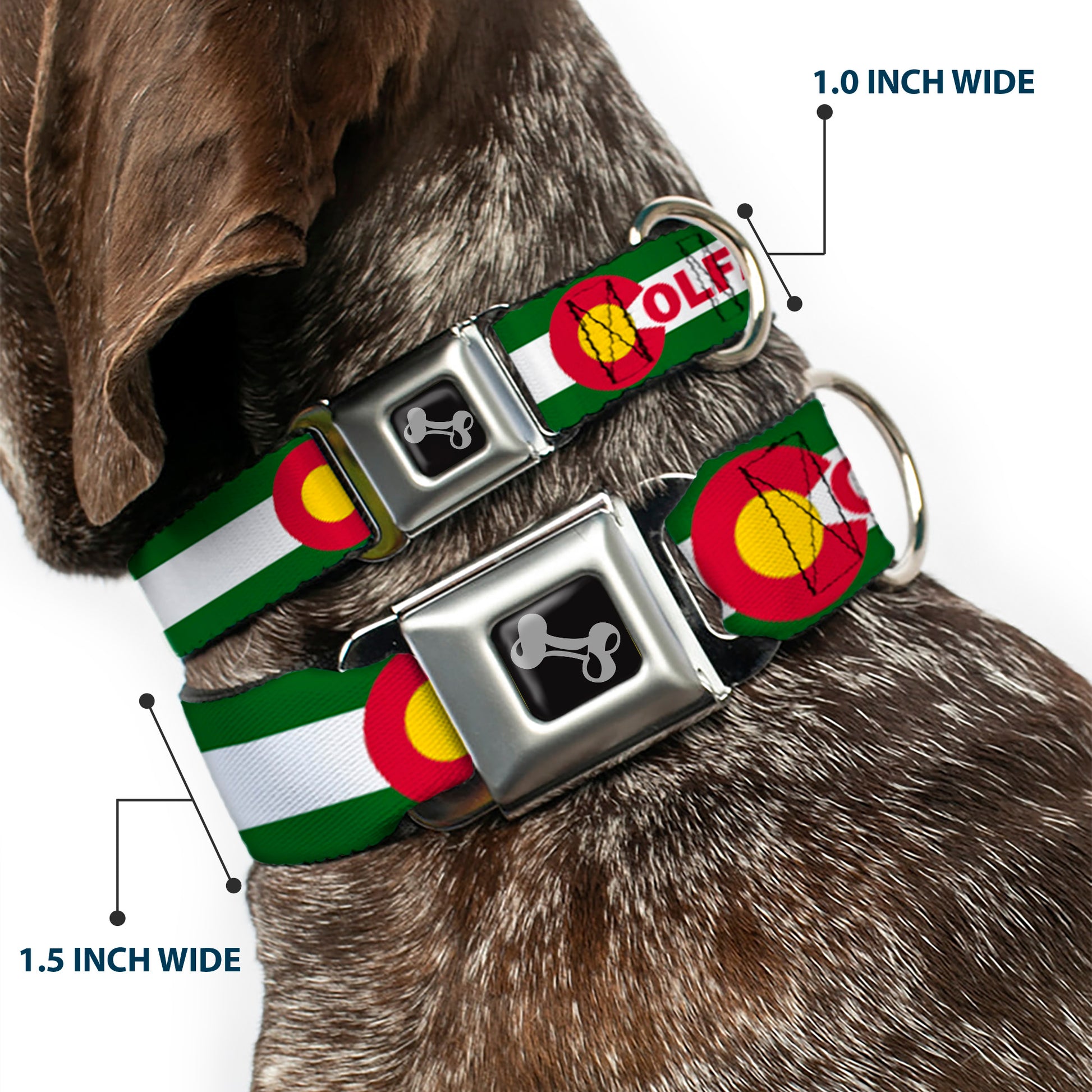 Dog Bone Seatbelt Buckle Collar - COLFAX Green Stripe Seatbelt Buckle Collars Buckle-Down