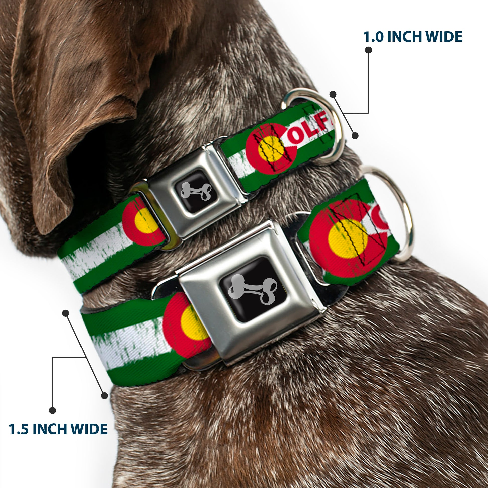 Dog Bone Seatbelt Buckle Collar - COLFAX Green Stripe Weathered Seatbelt Buckle Collars Buckle-Down