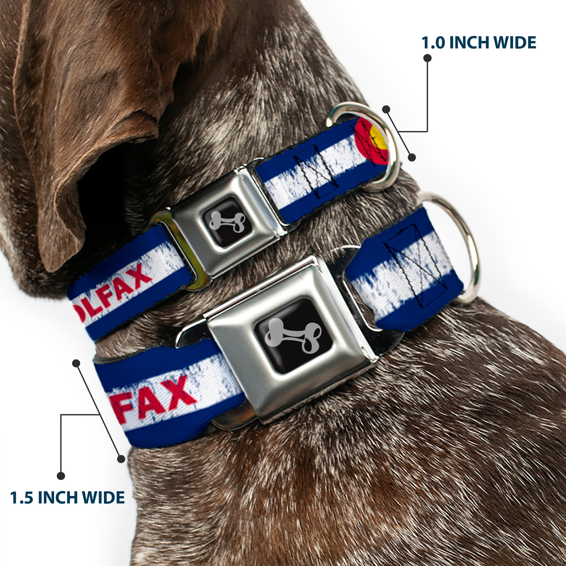 Dog Bone Seatbelt Buckle Collar - COLFAX Colorado Flag Weathered Seatbelt Buckle Collars Buckle-Down