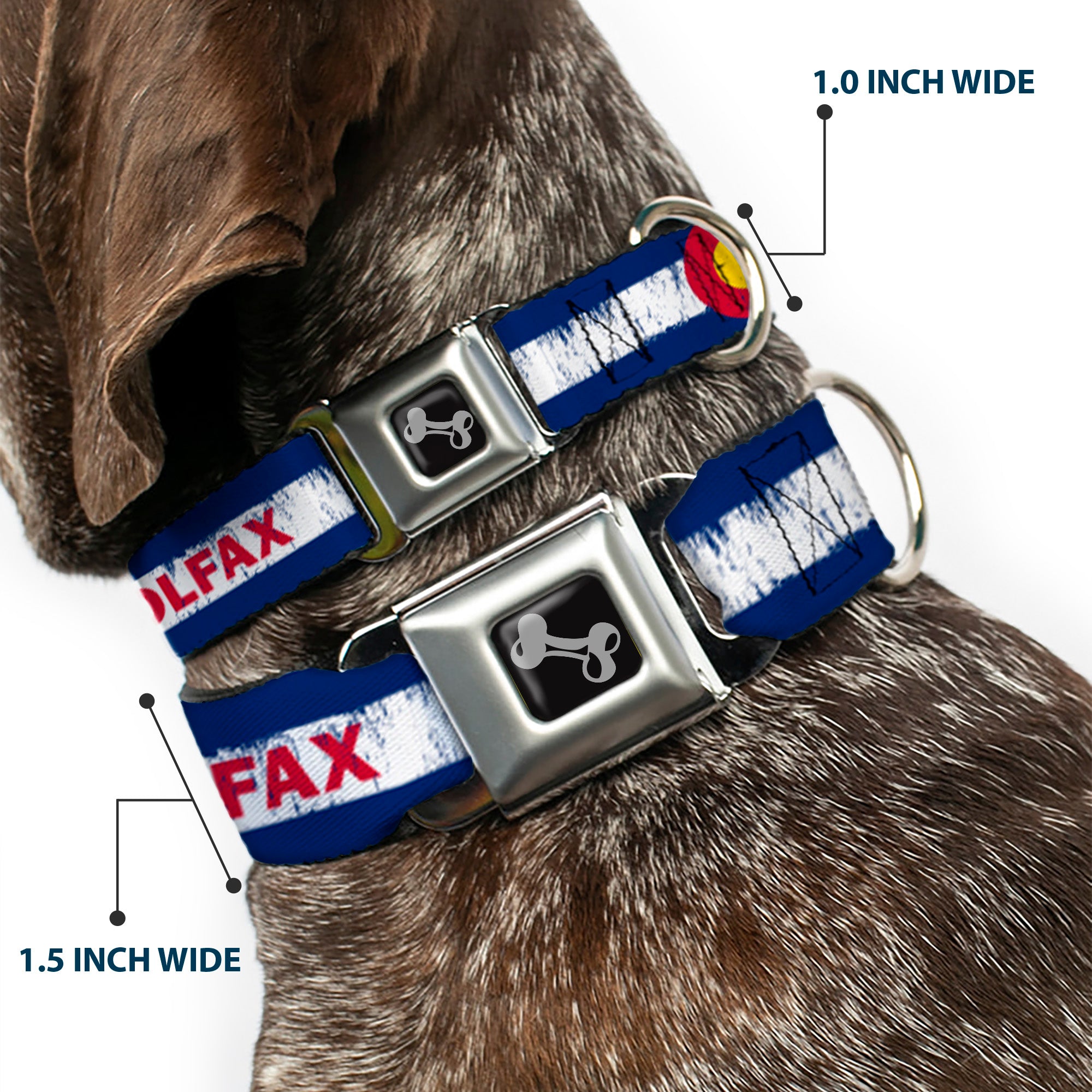 Dog Bone Seatbelt Buckle Collar - COLFAX Colorado Flag Weathered Seatbelt Buckle Collars Buckle-Down