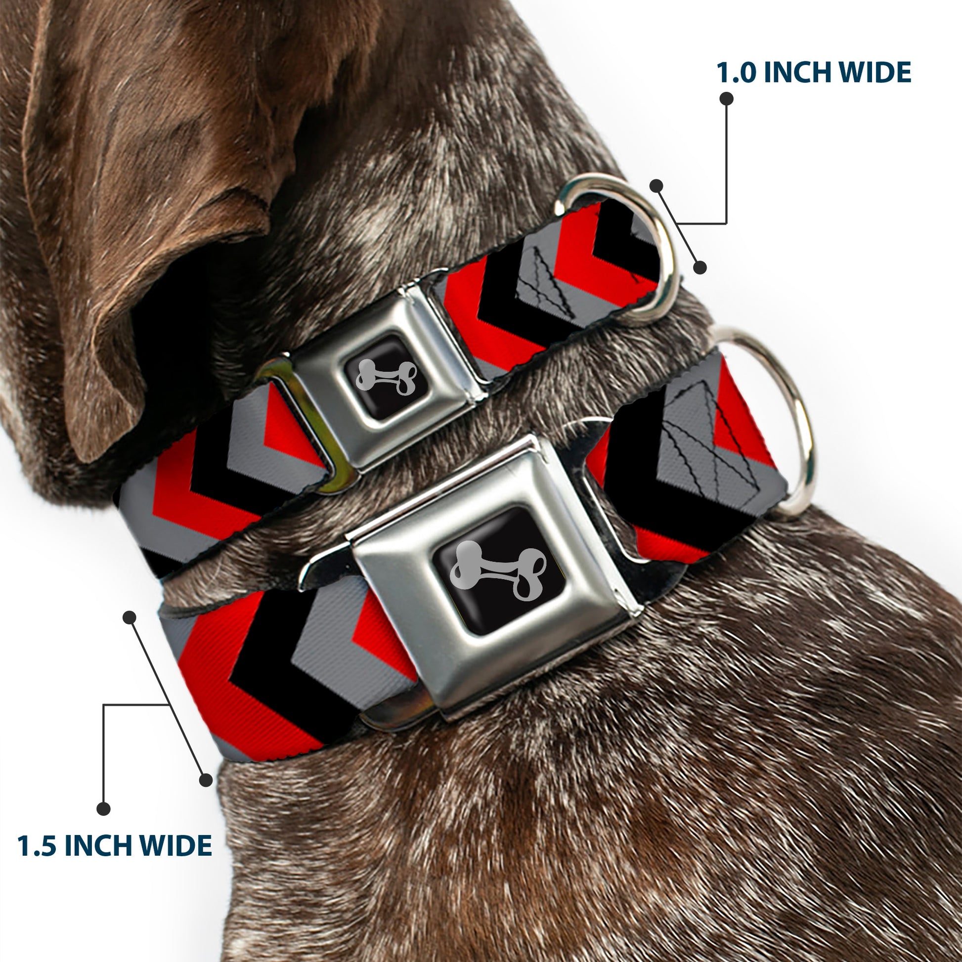 Dog Bone Seatbelt Buckle Collar - Chevron Red/Black/Gray Seatbelt Buckle Collars Buckle-Down