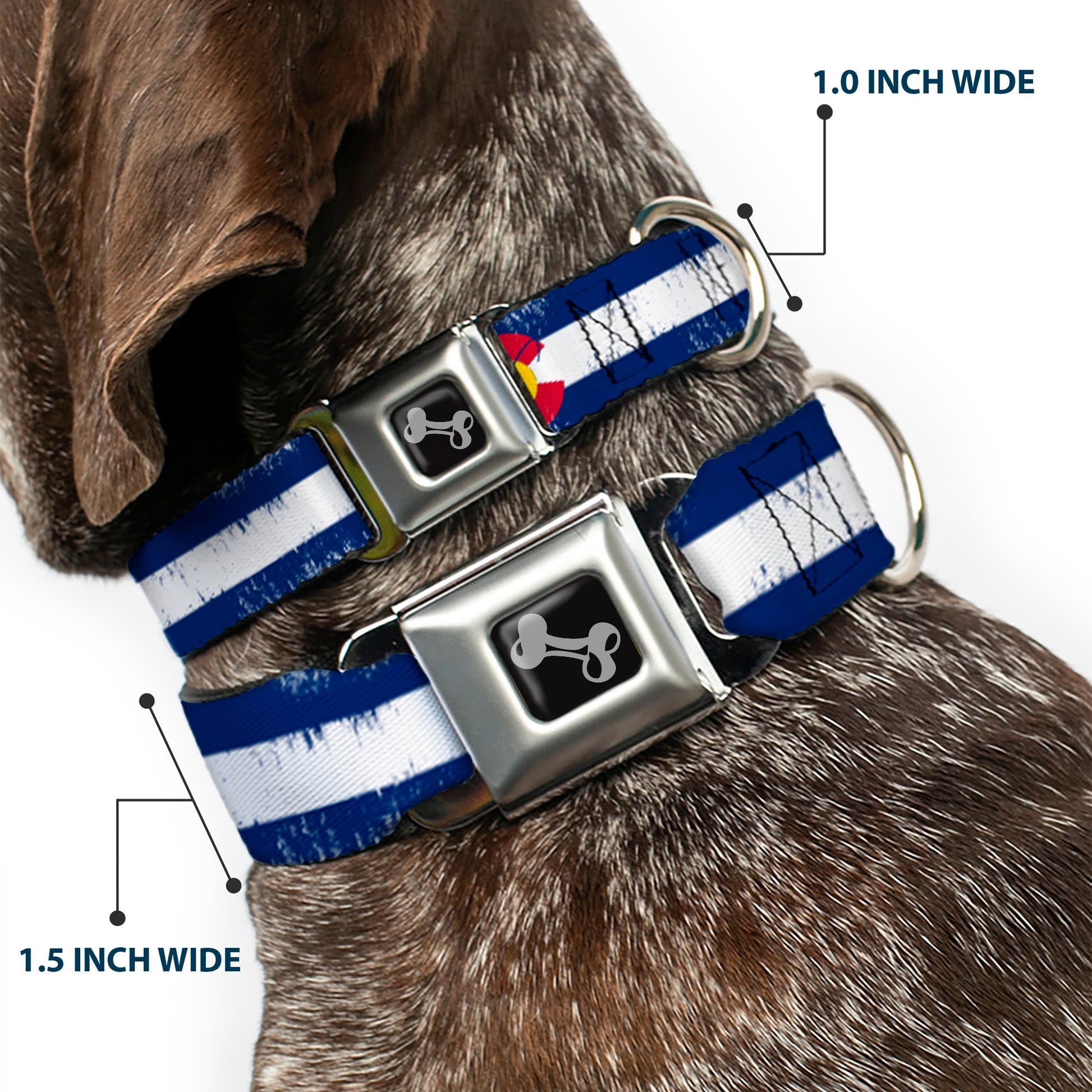 Dog Bone Seatbelt Buckle Collar - Colorado Flag/Fisher Weathered Seatbelt Buckle Collars Buckle-Down