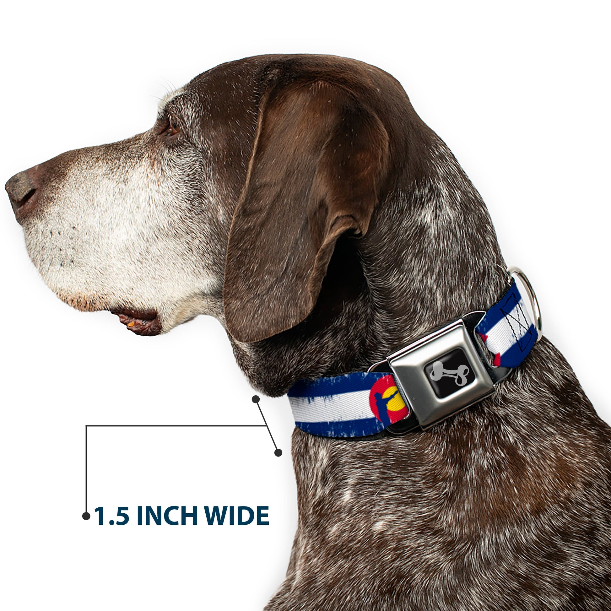 Dog Bone Seatbelt Buckle Collar - Colorado Flag/Fisher Weathered Seatbelt Buckle Collars Buckle-Down