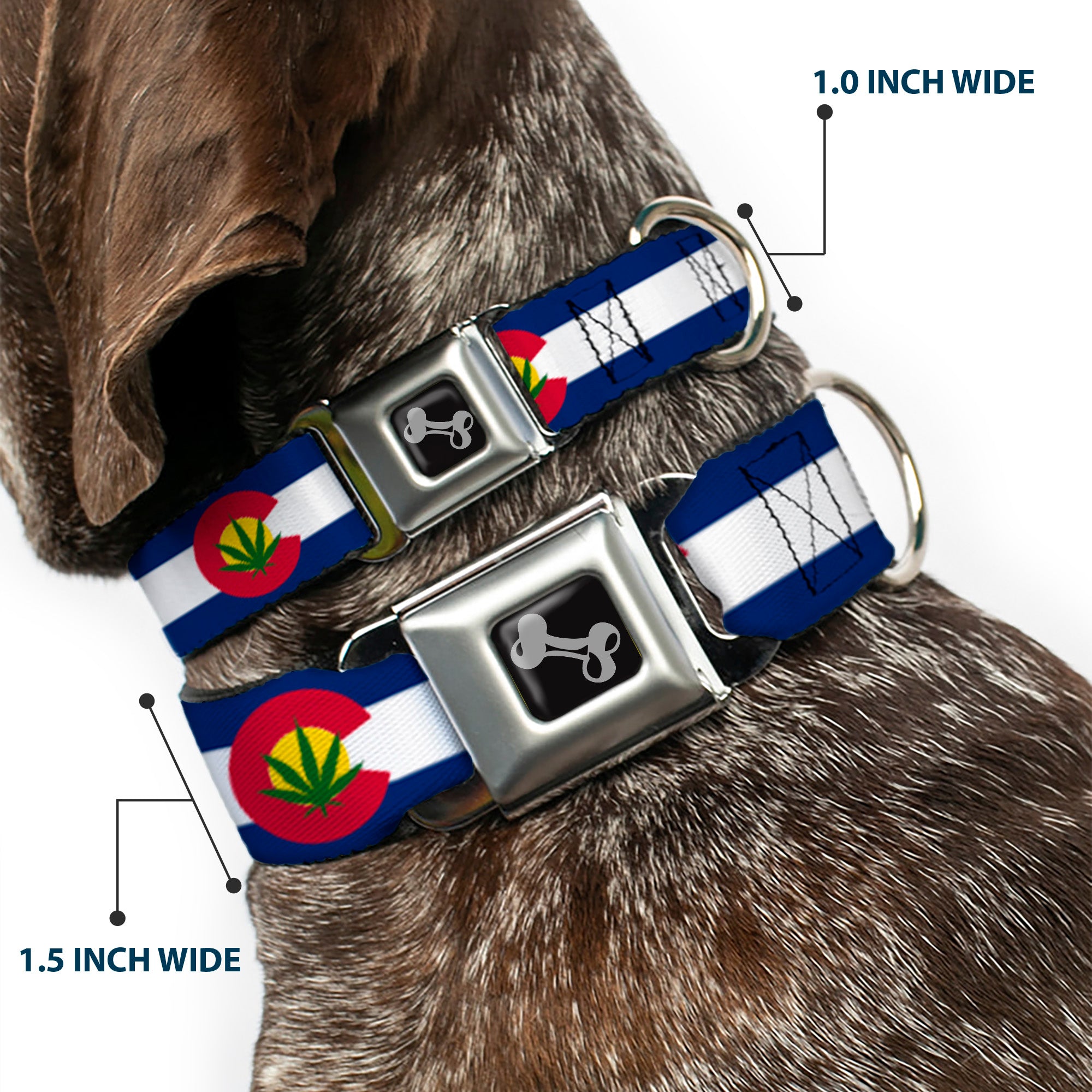 Dog Bone Seatbelt Buckle Collar - Colorado Flag/Marijuana Leaf Seatbelt Buckle Collars Buckle-Down