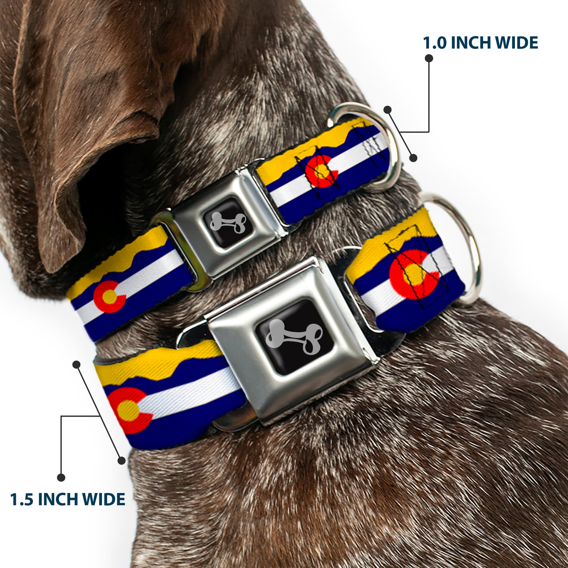 Dog Bone Seatbelt Buckle Collar - Colorado Flag/Mountain Silhouette Yellow Seatbelt Buckle Collars Buckle-Down