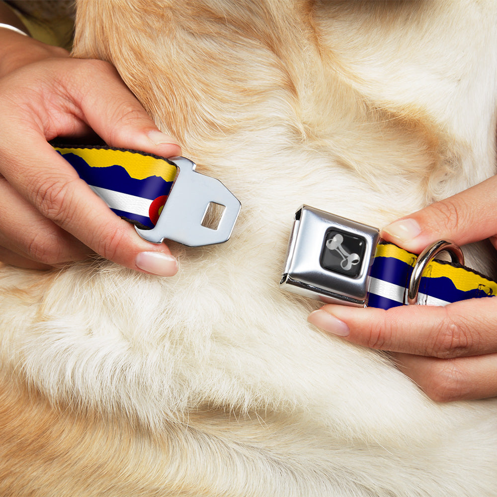 Dog Bone Seatbelt Buckle Collar - Colorado Flag/Mountain Silhouette Yellow Seatbelt Buckle Collars Buckle-Down