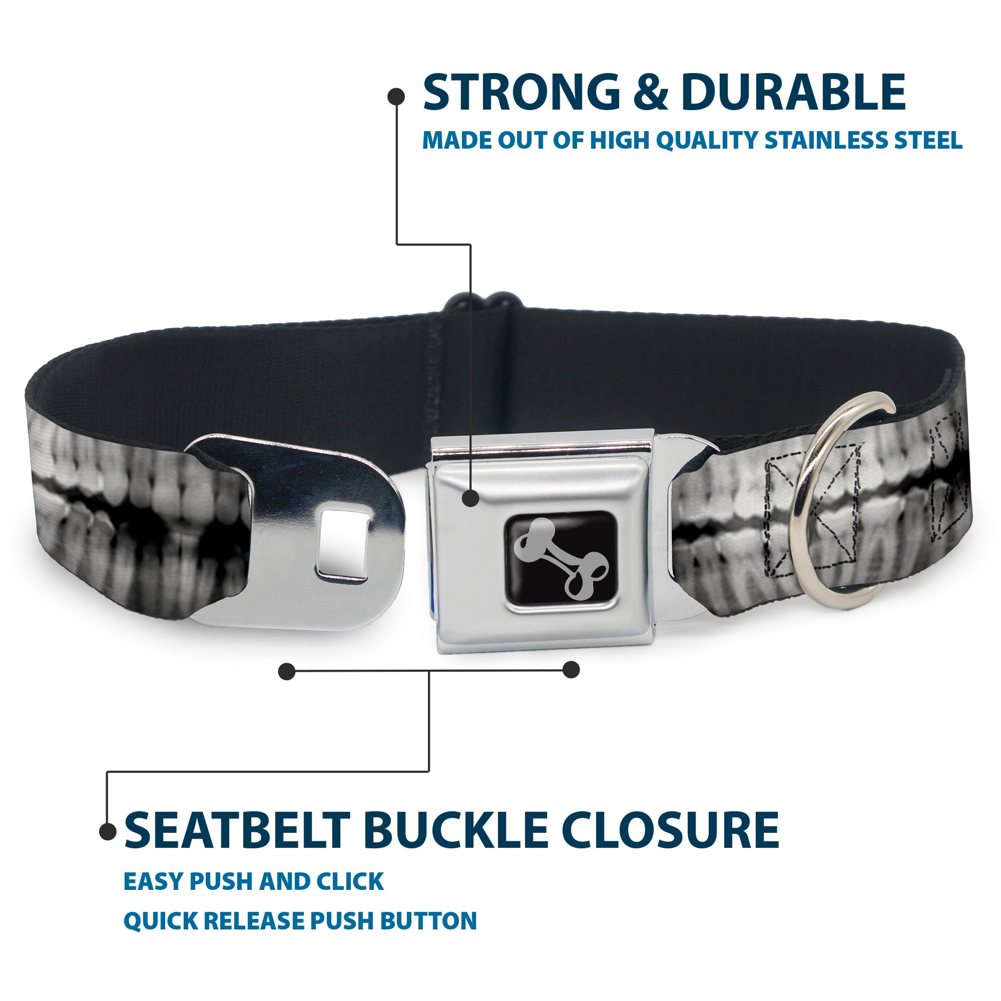 Dog Bone Seatbelt Buckle Collar - Dental X-Rays Black/White Seatbelt Buckle Collars Buckle-Down