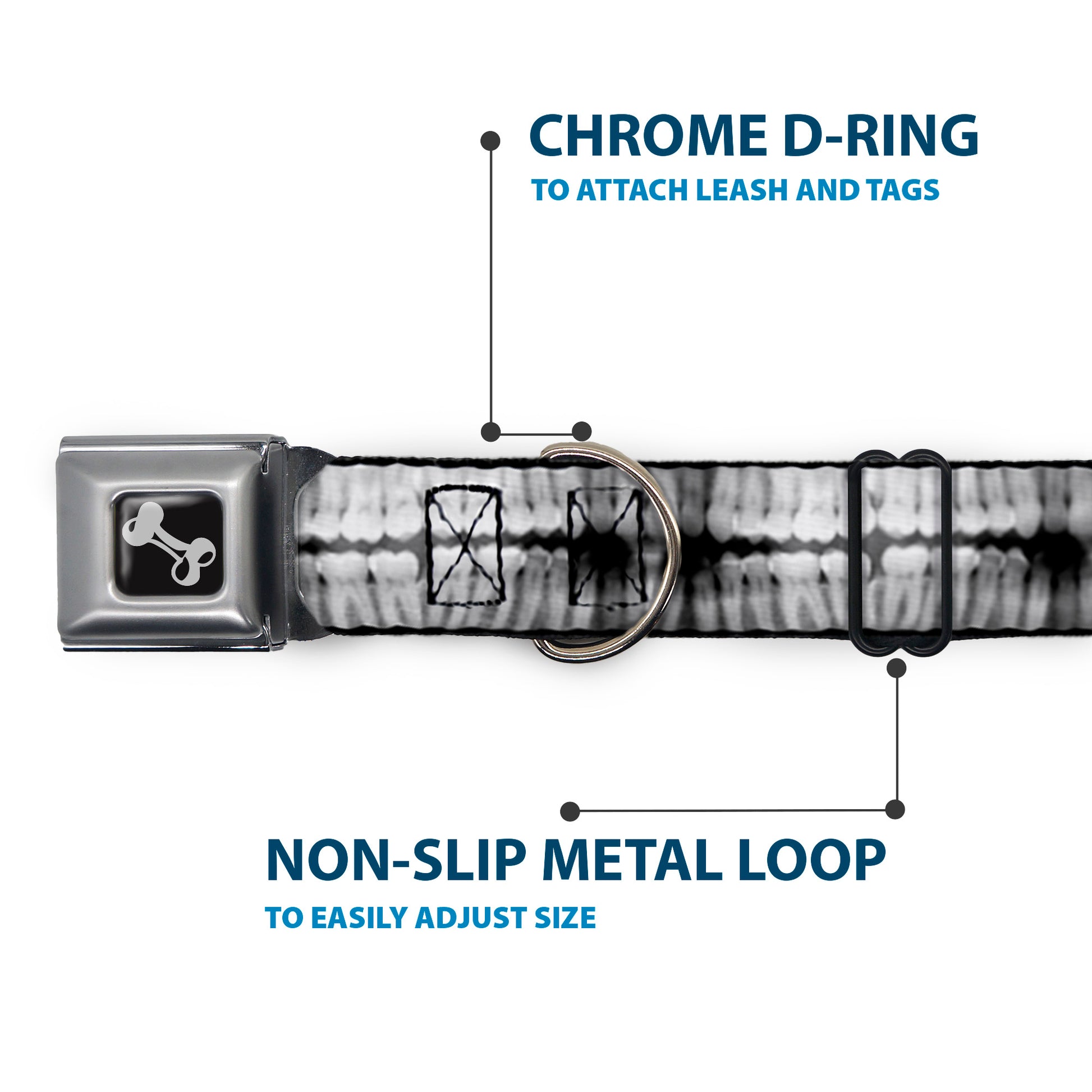 Dog Bone Seatbelt Buckle Collar - Dental X-Rays Black/White Seatbelt Buckle Collars Buckle-Down