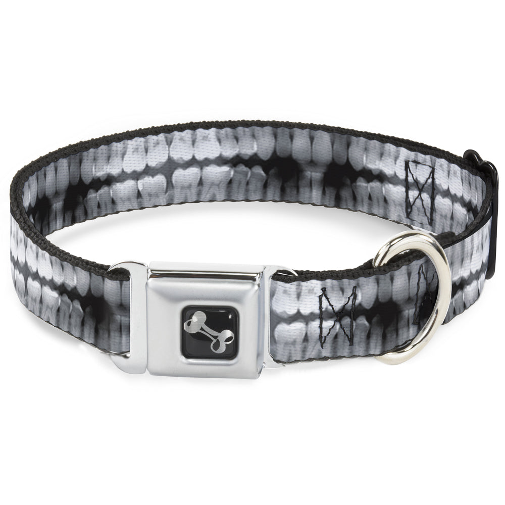 Dog Bone Seatbelt Buckle Collar - Dental X-Rays Black/White Seatbelt Buckle Collars Buckle-Down