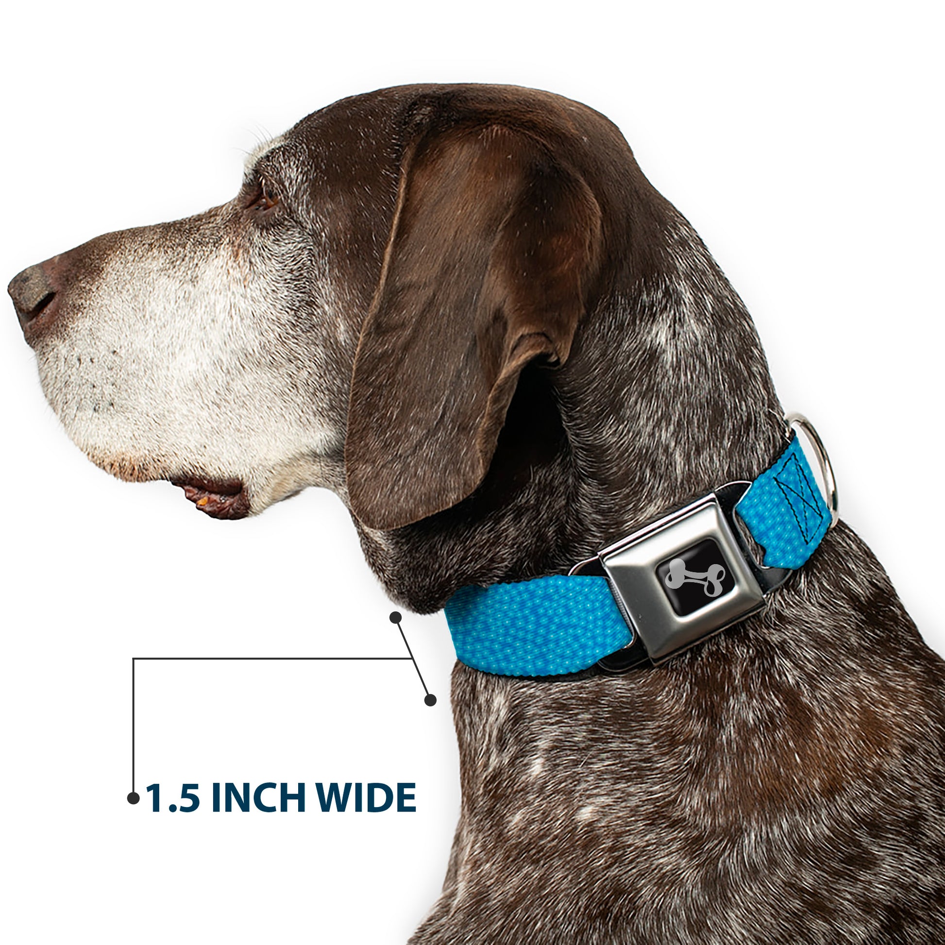 Dog Bone Seatbelt Buckle Collar - Ditsy Floral Blue/Light Blue/White Seatbelt Buckle Collars Buckle-Down