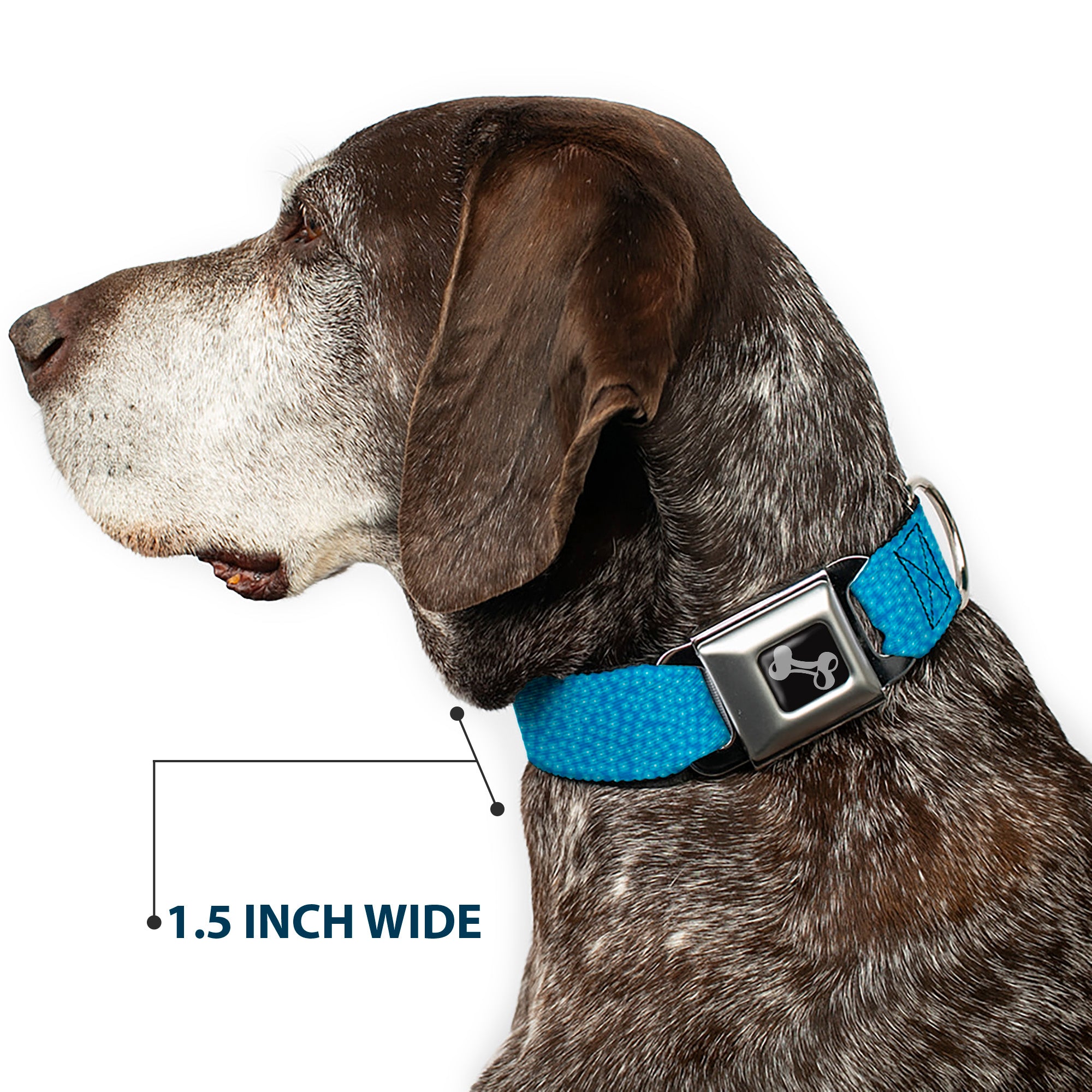 Dog Bone Seatbelt Buckle Collar - Ditsy Floral Blue/Light Blue/White Seatbelt Buckle Collars Buckle-Down