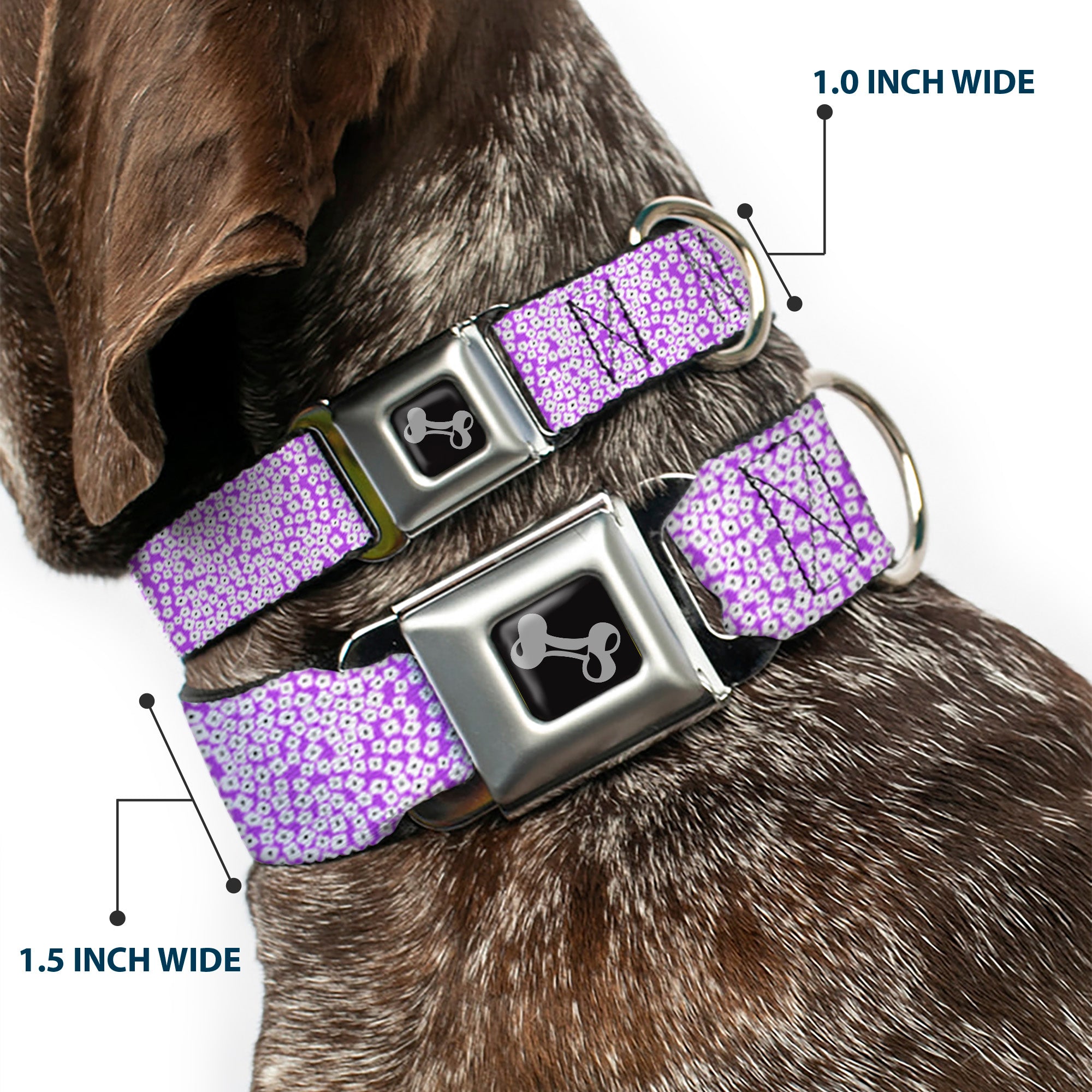 Dog Bone Seatbelt Buckle Collar - Ditsy Floral Lavender/White/Black Seatbelt Buckle Collars Buckle-Down