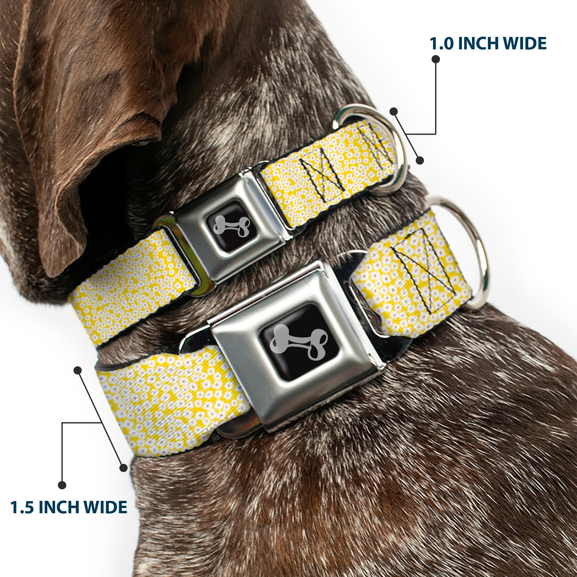 Dog Bone Seatbelt Buckle Collar - Ditsy Floral Yellow/White/Brown Seatbelt Buckle Collars Buckle-Down