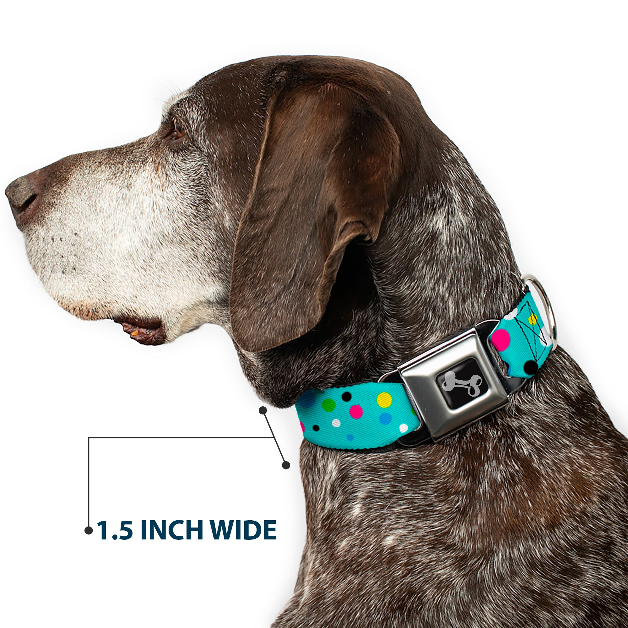 Dog Bone Seatbelt Buckle Collar - Dots Seafoam Green/Multi Pastel Seatbelt Buckle Collars Buckle-Down