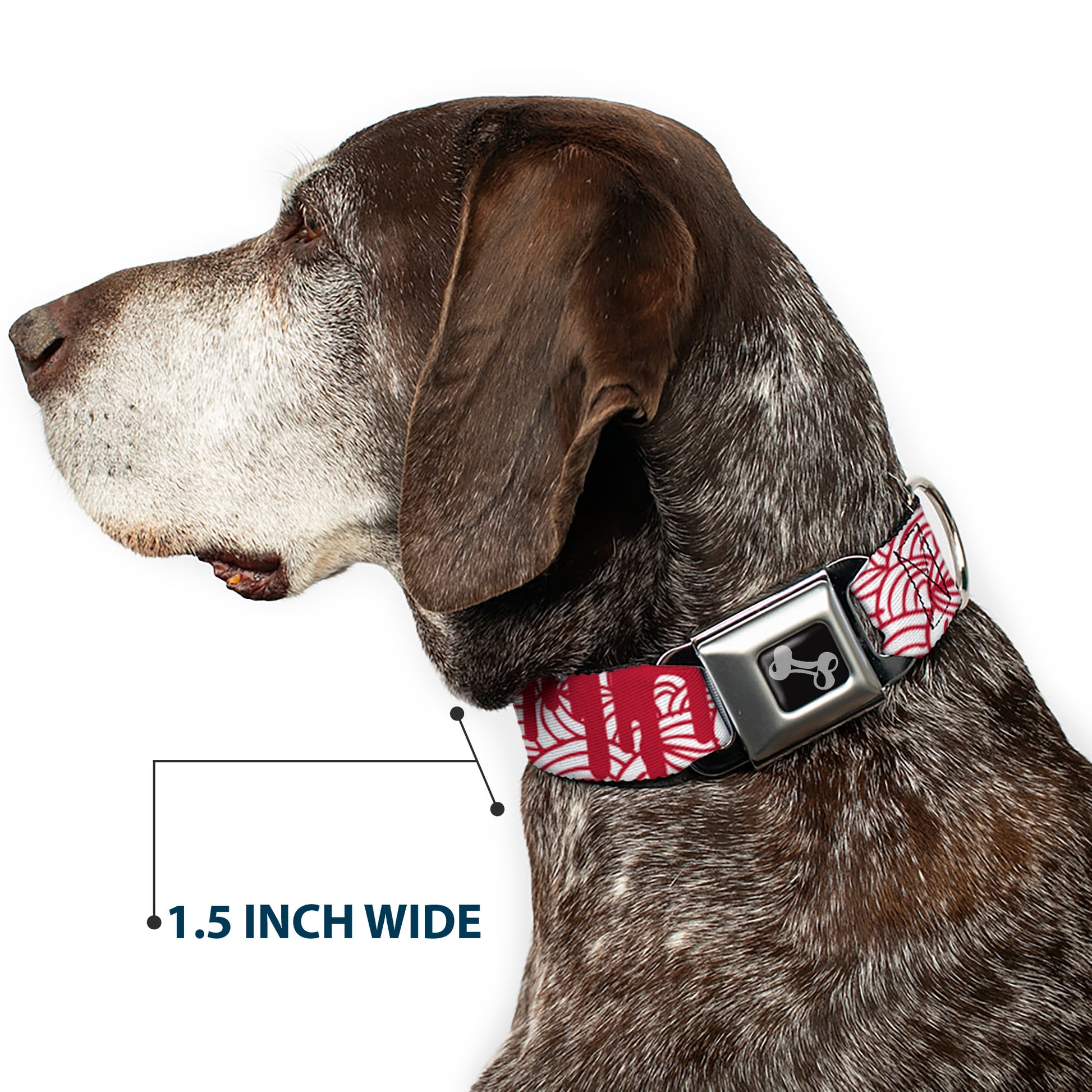 Dog Bone Seatbelt Buckle Collar - Doodle1/Paint Drips White/Red Seatbelt Buckle Collars Buckle-Down
