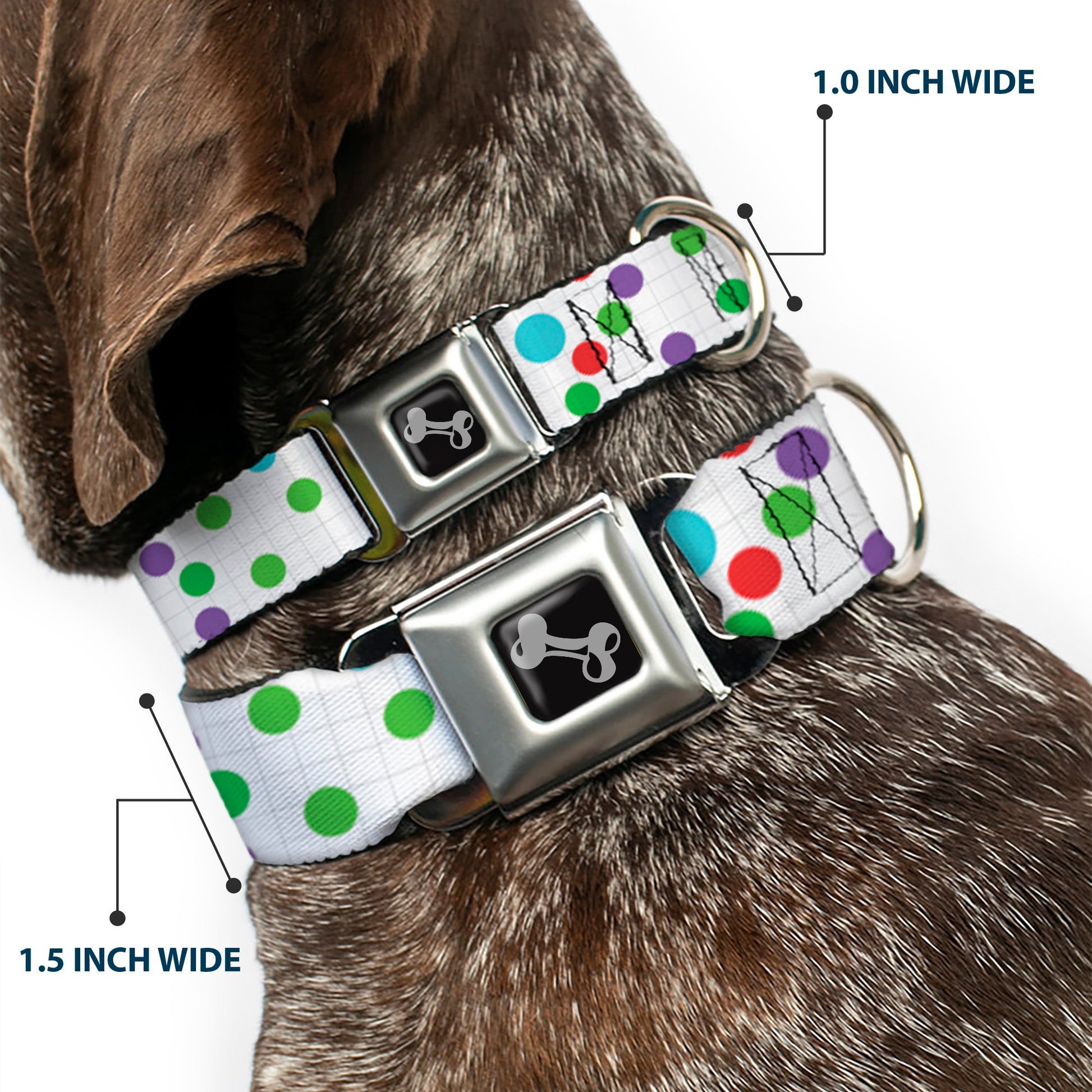 Dog Bone Black/Silver Seatbelt Buckle Collar - Dots/Grid White/Gray/Multi Color Seatbelt Buckle Collars Buckle-Down