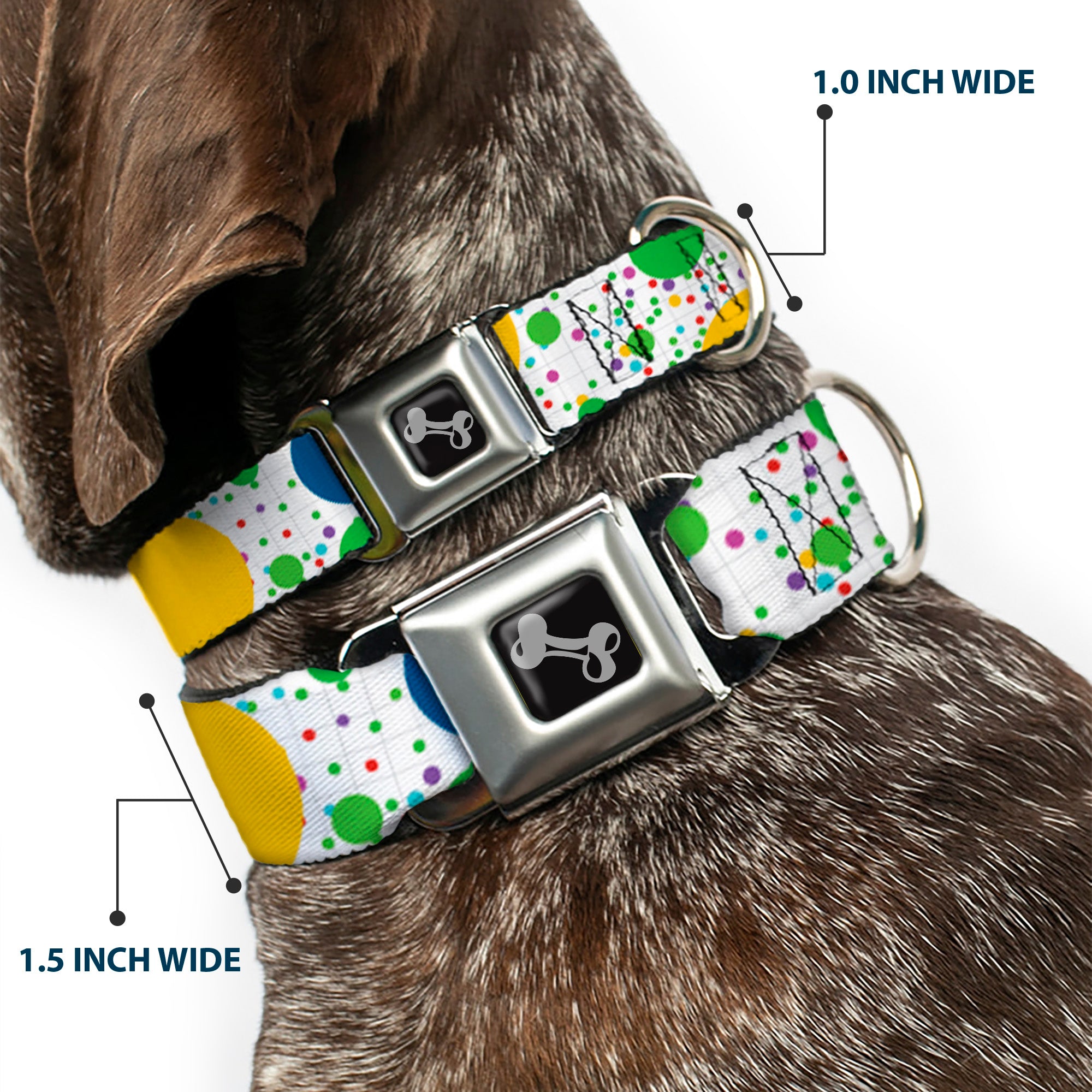 Dog Bone Seatbelt Buckle Collar - Dots/Grid3 White/Gray/Multi Color Seatbelt Buckle Collars Buckle-Down