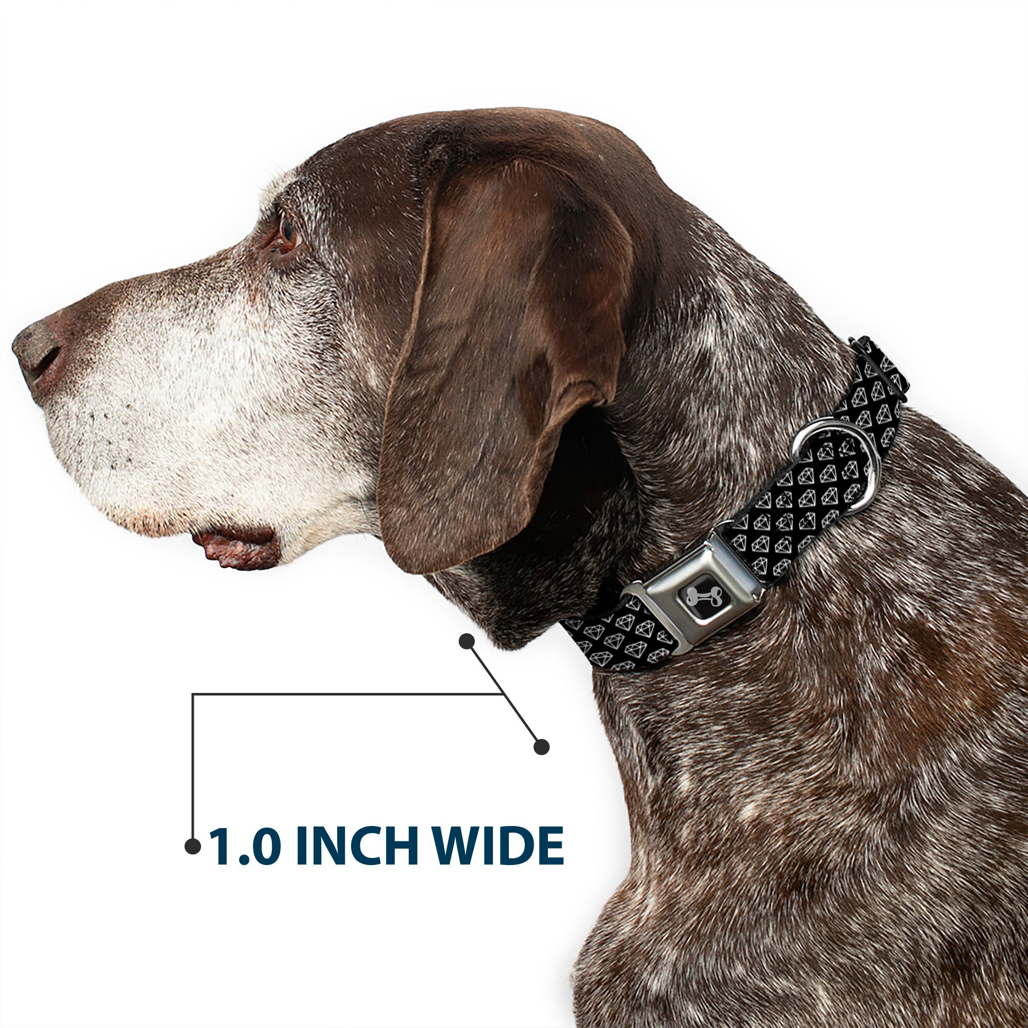 Dog Bone Seatbelt Buckle Collar - Diamonds Diagonal2 Lines Black/White Seatbelt Buckle Collars Buckle-Down