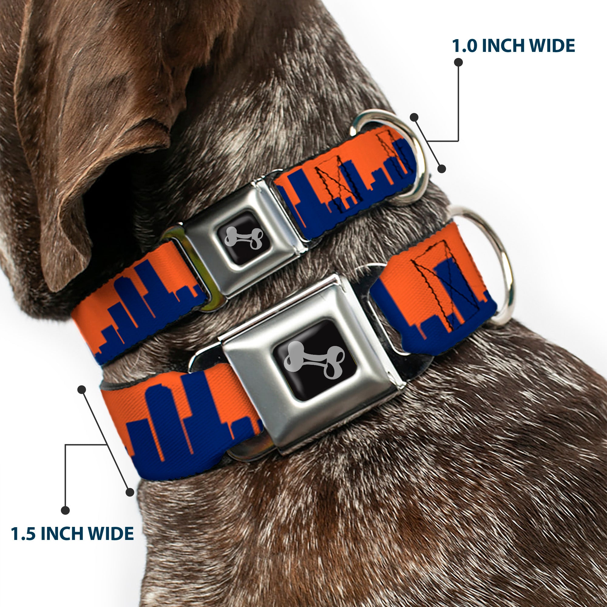 Dog Bone Seatbelt Buckle Collar - Denver Solid Skyline Orange/Navy Seatbelt Buckle Collars Buckle-Down