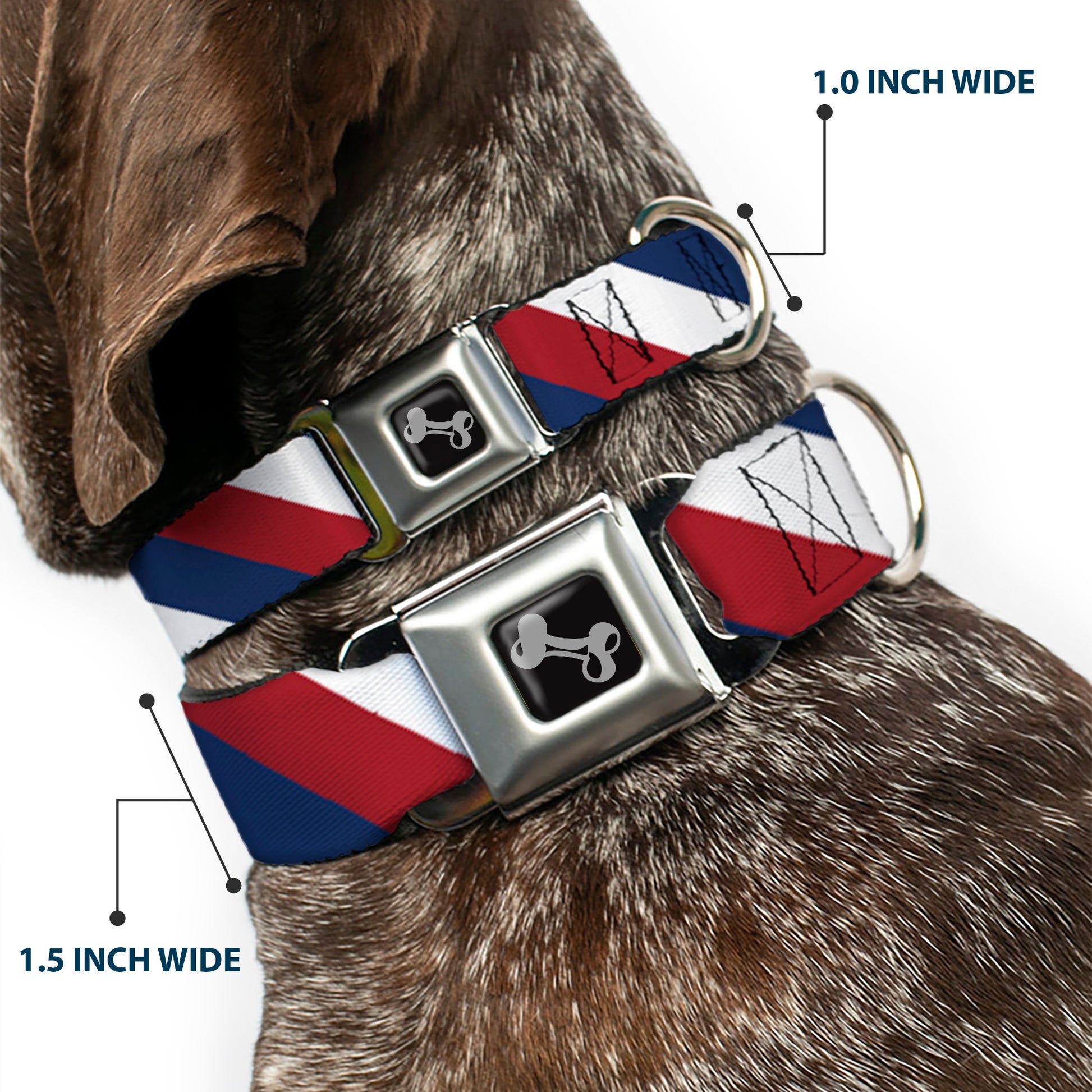 Dog Bone Seatbelt Buckle Collar - Diagonal Stripe Red/White/Navy Seatbelt Buckle Collars Buckle-Down