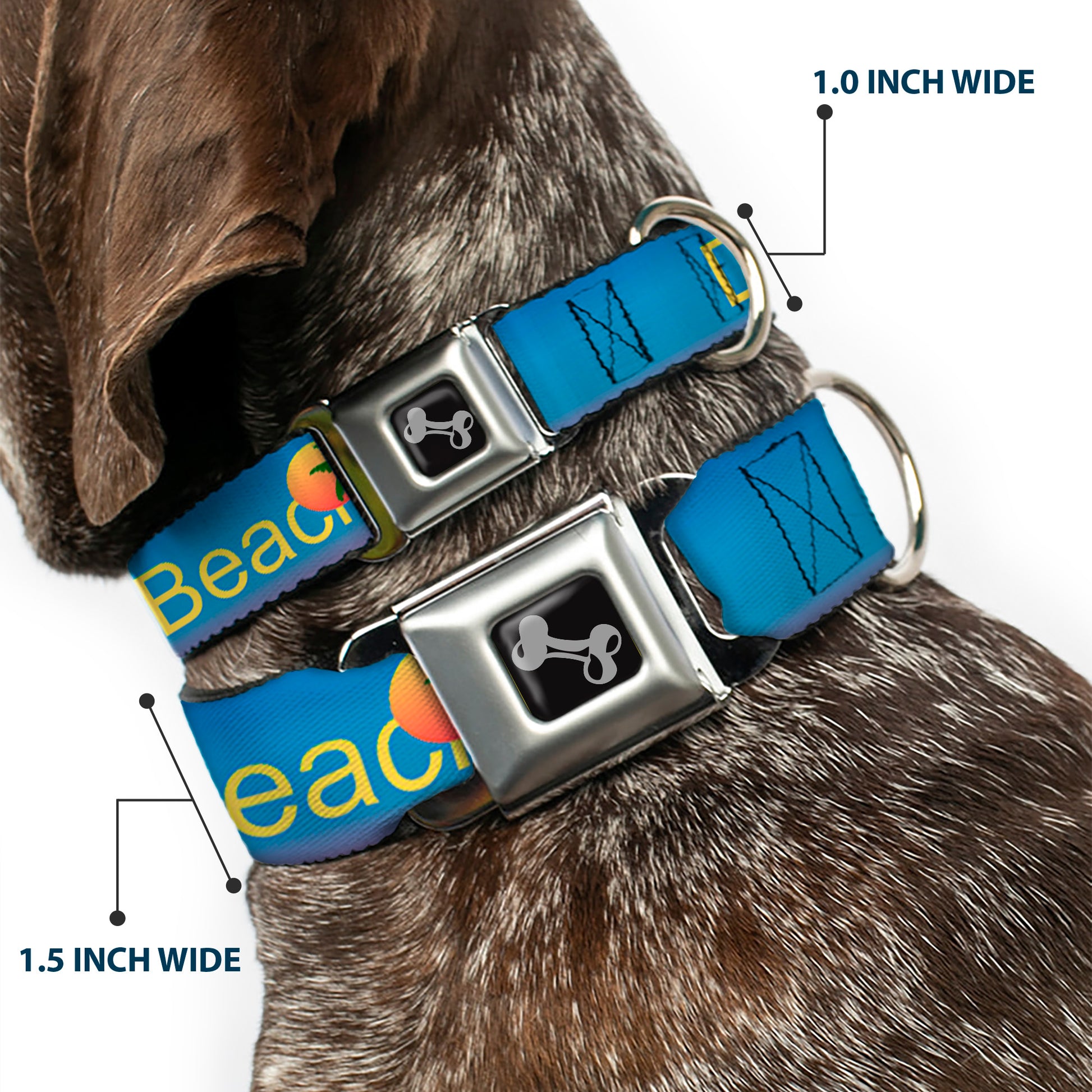 Dog Bone Seatbelt Buckle Collar - DAYTON BEACH Script/Sun/Palm Trees Blue Fade/Yellow/Oranges/Green Seatbelt Buckle Collars Buckle-Down