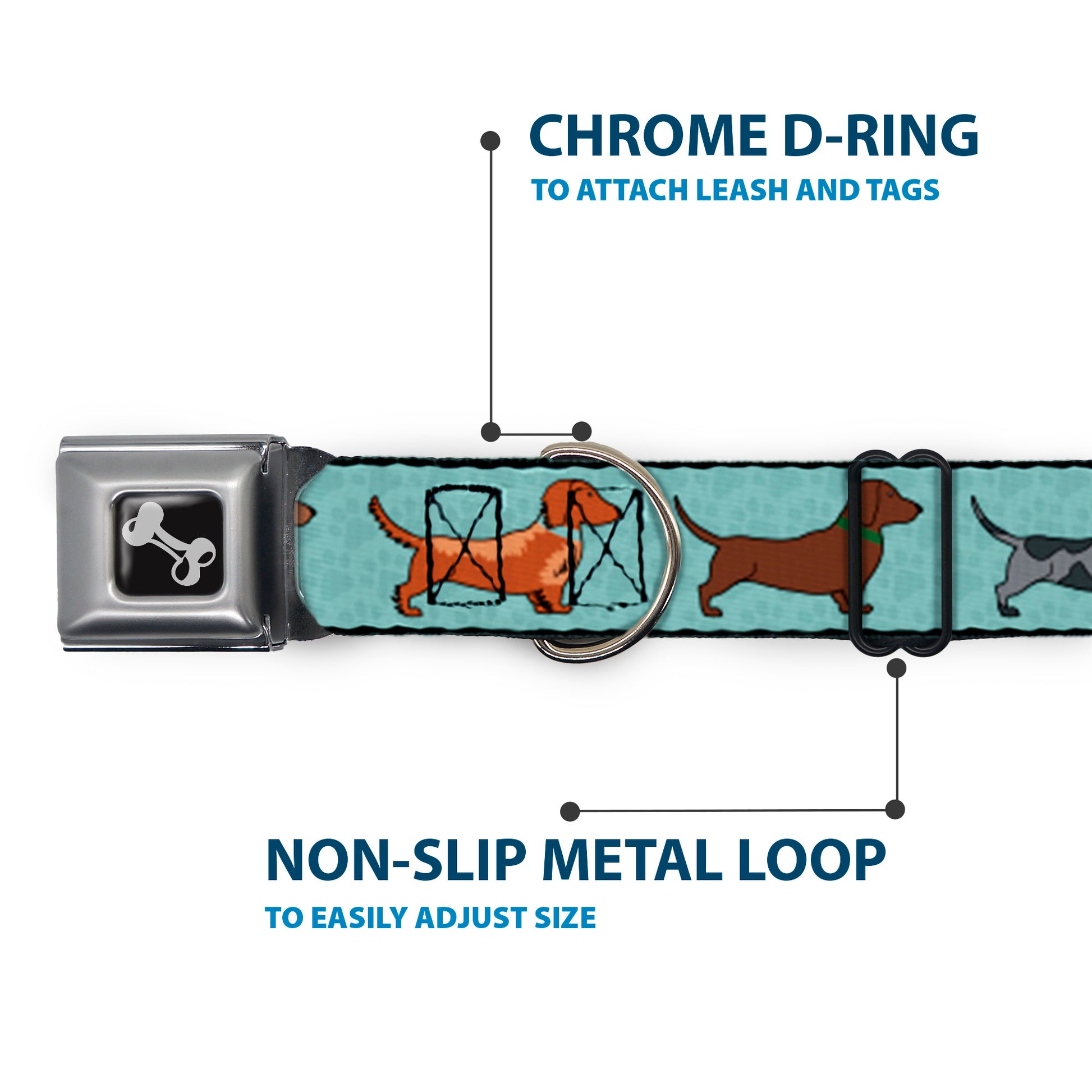 Dog Bone Seatbelt Buckle Collar - Dachshund 4-Dogs/Paws Aquas Seatbelt Buckle Collars Buckle-Down