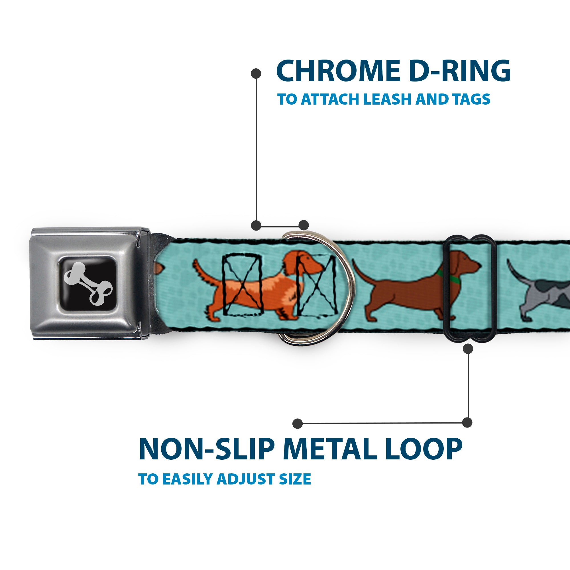 Dog Bone Seatbelt Buckle Collar - Dachshund 4-Dogs/Paws Aquas Seatbelt Buckle Collars Buckle-Down