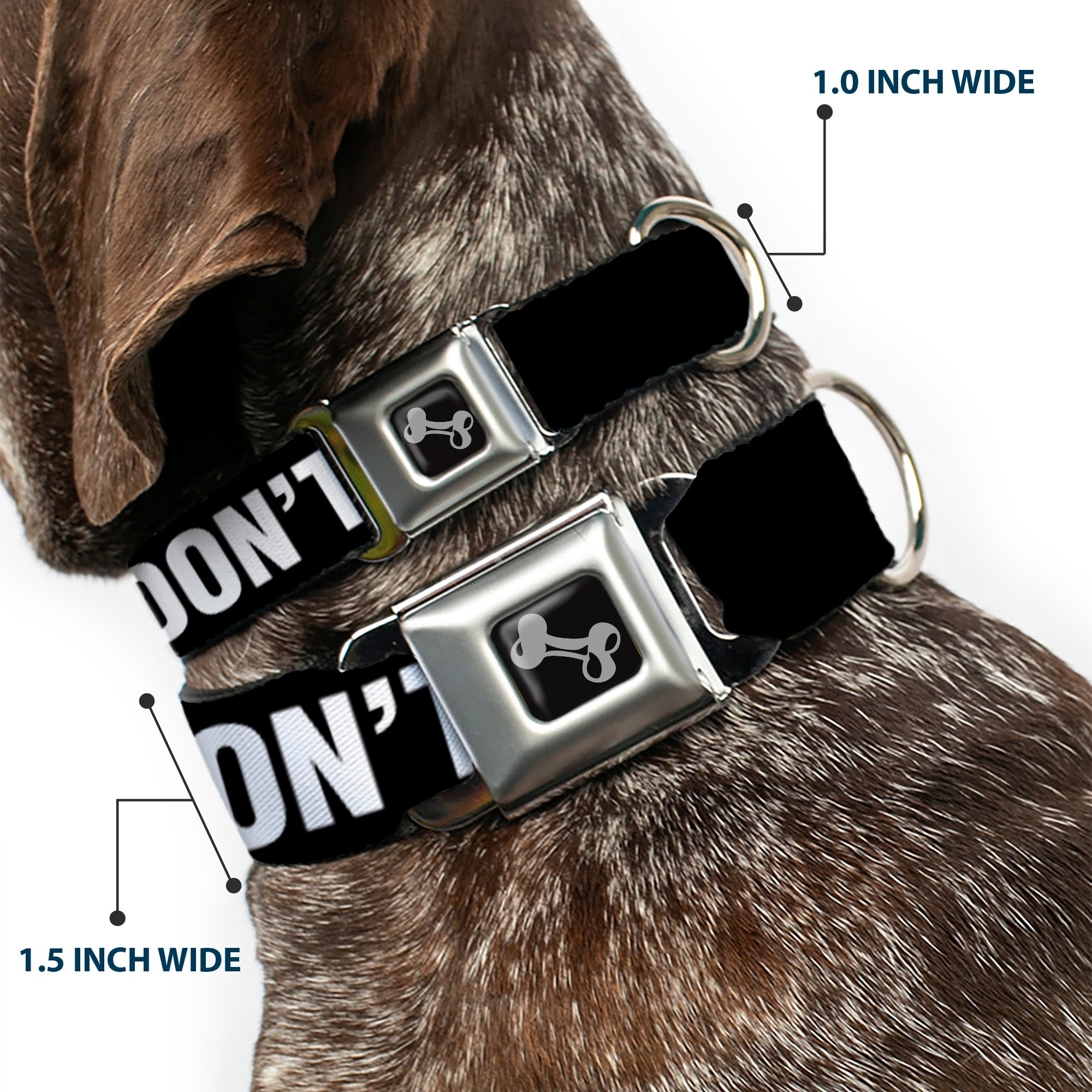 Dog Bone Black/Silver Seatbelt Buckle Collar - DON'T JUDGE ME Black/White Seatbelt Buckle Collars Buckle-Down