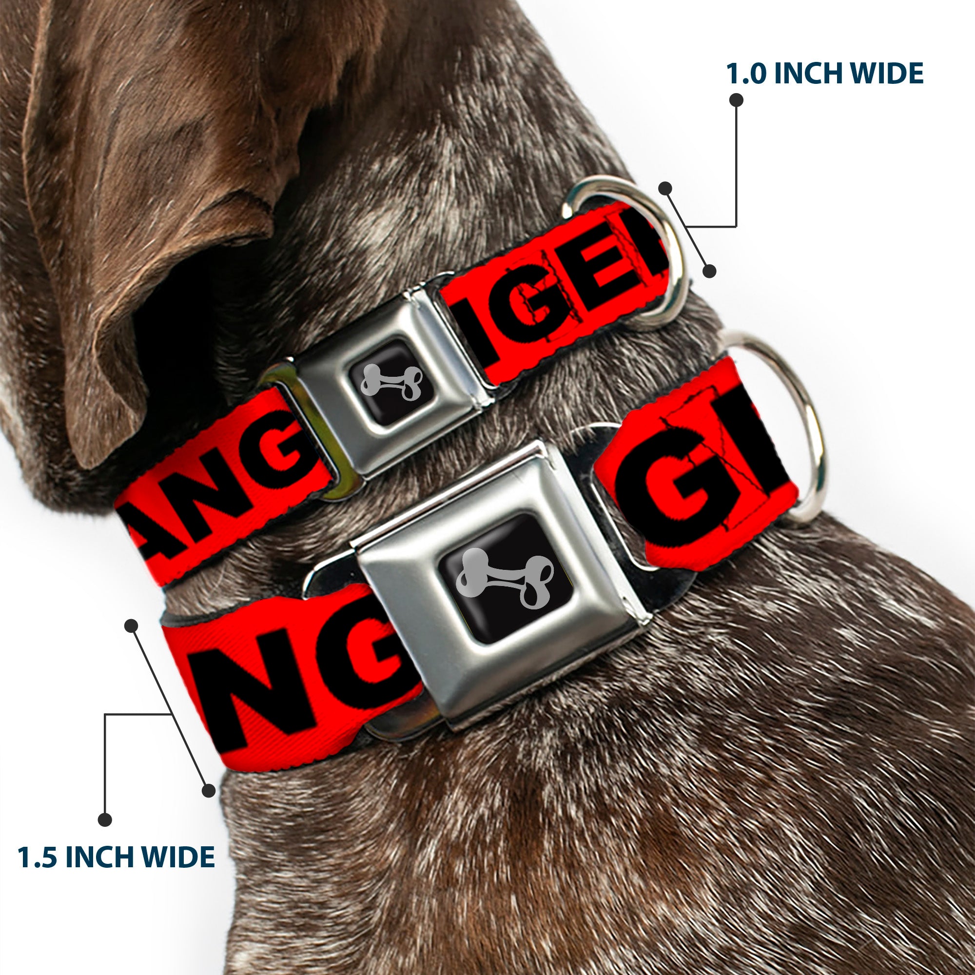 Dog Bone Black/Silver Seatbelt Buckle Collar - DANGER Text Red/Black Seatbelt Buckle Collars Buckle-Down