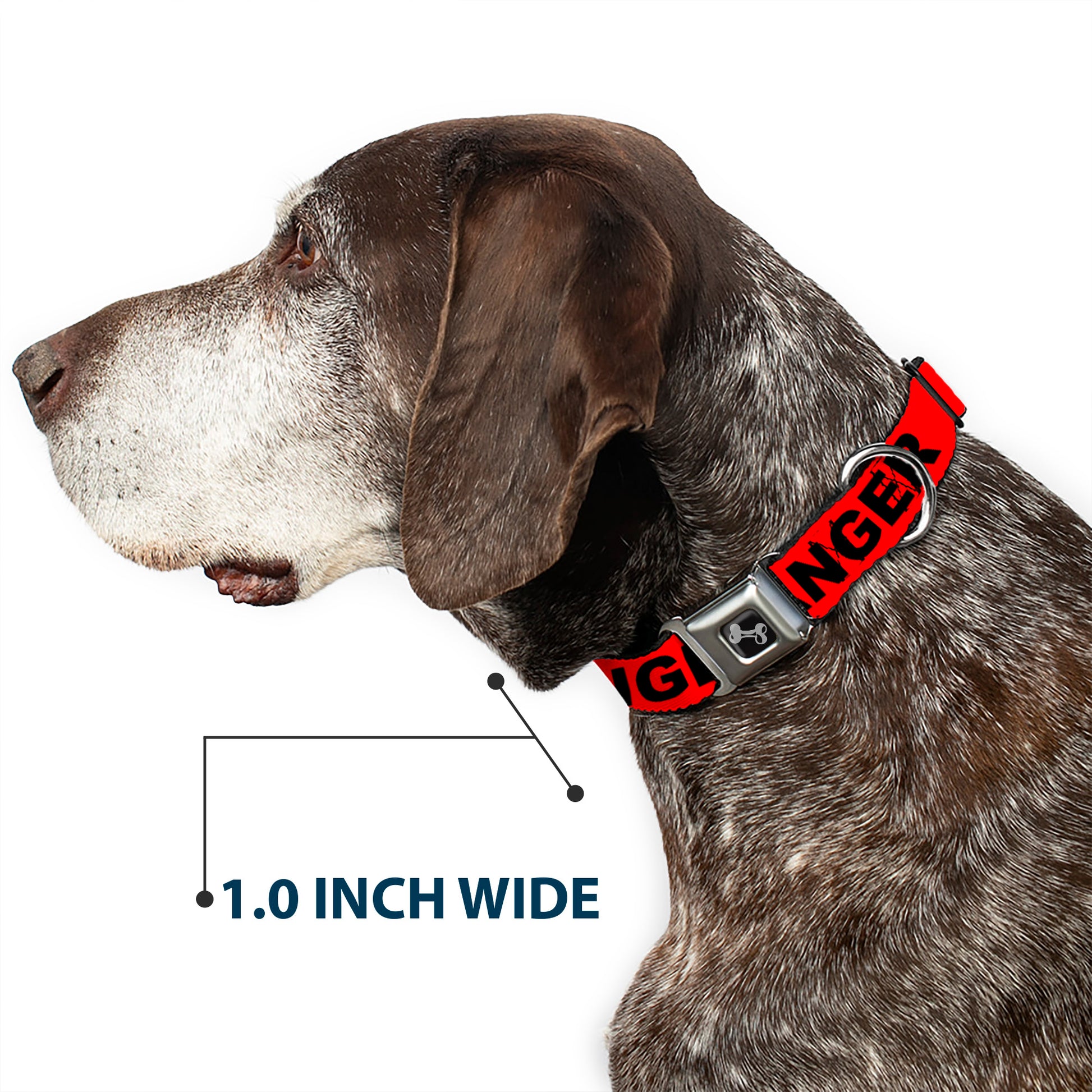 Dog Bone Black/Silver Seatbelt Buckle Collar - DANGER Text Red/Black Seatbelt Buckle Collars Buckle-Down
