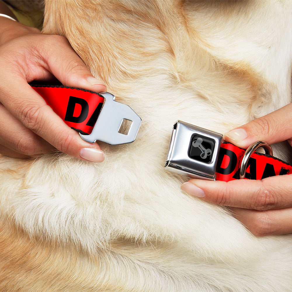 Dog Bone Black/Silver Seatbelt Buckle Collar - DANGER Text Red/Black Seatbelt Buckle Collars Buckle-Down