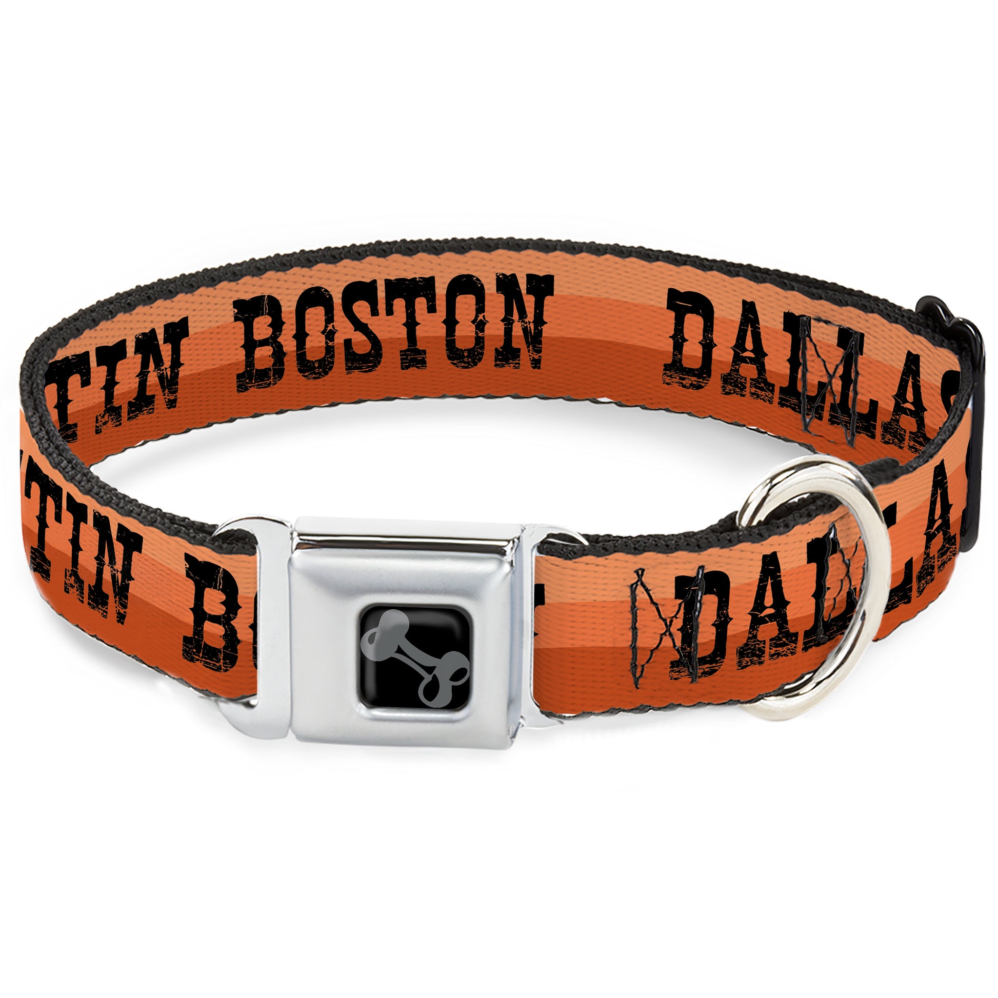 Dog Bone Black/Silver Seatbelt Buckle Collar - Dallas-Raleigh-Tennessee-Austin-Boston Stripes Browns/Black Seatbelt Buckle Collars Buckle-Down