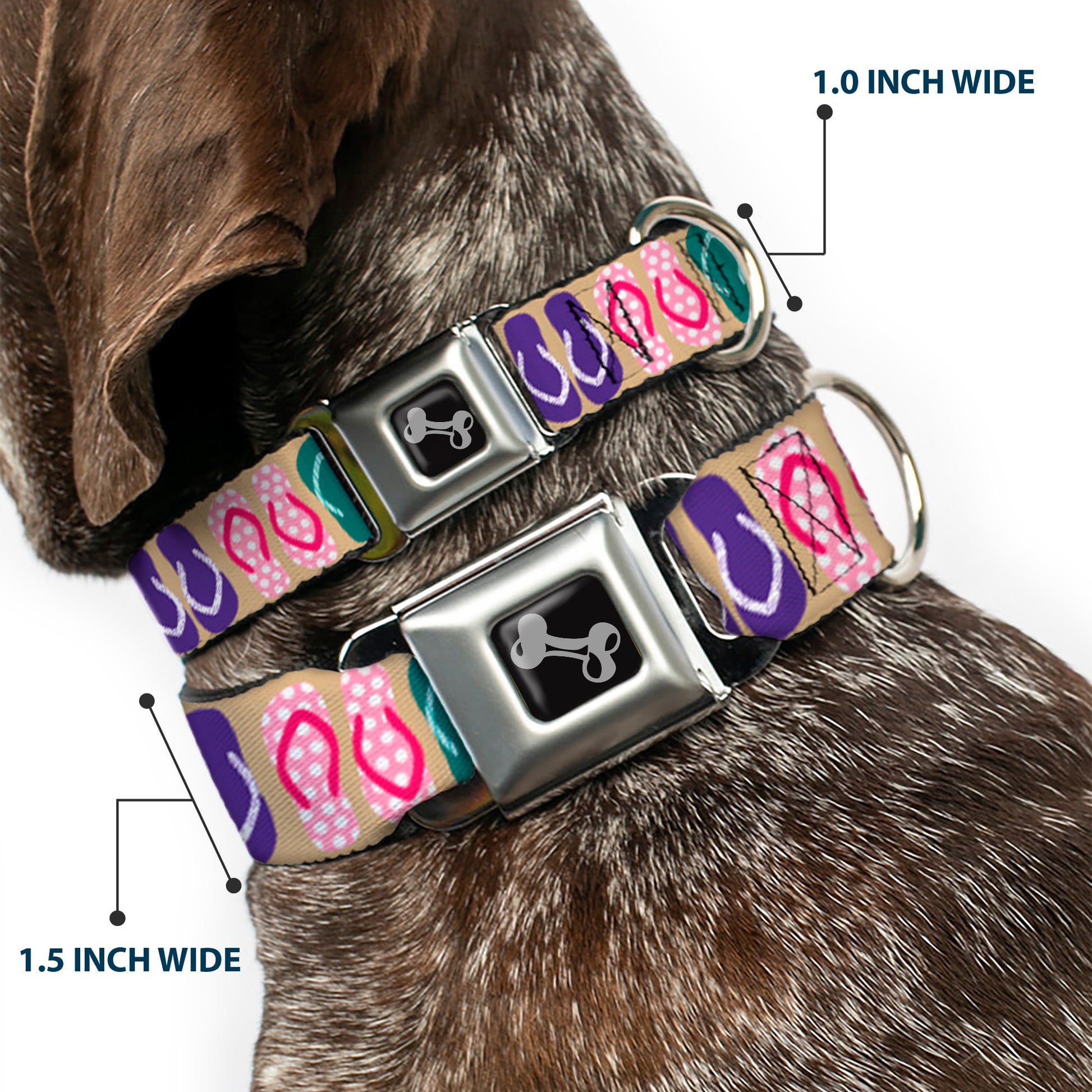 Dog Bone Seatbelt Buckle Collar - Flip Flops5 CLOSE-UP Sand/Multi Color Seatbelt Buckle Collars Buckle-Down
